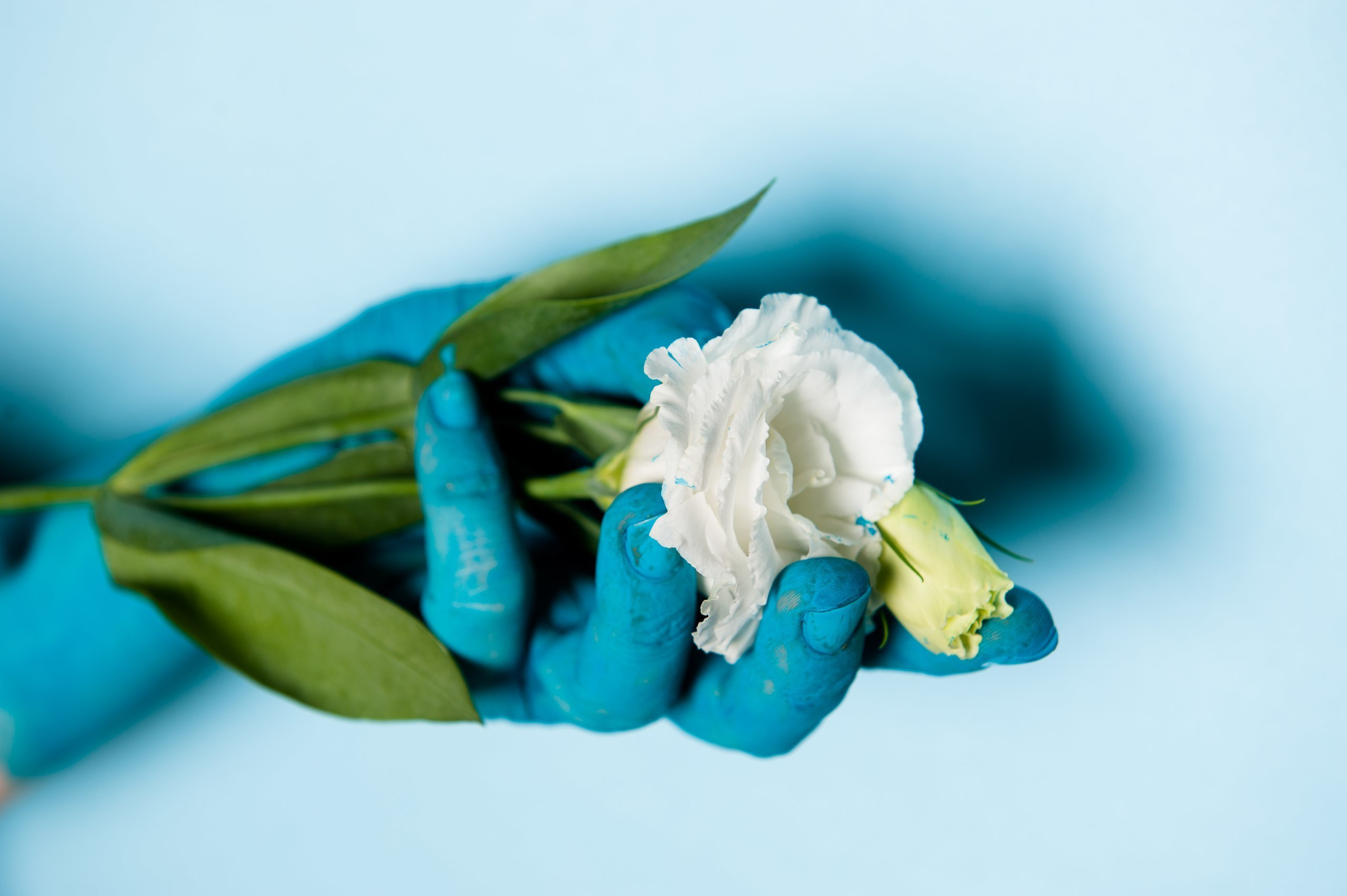 ART. Photographer in Israel Luba Ternavskaya