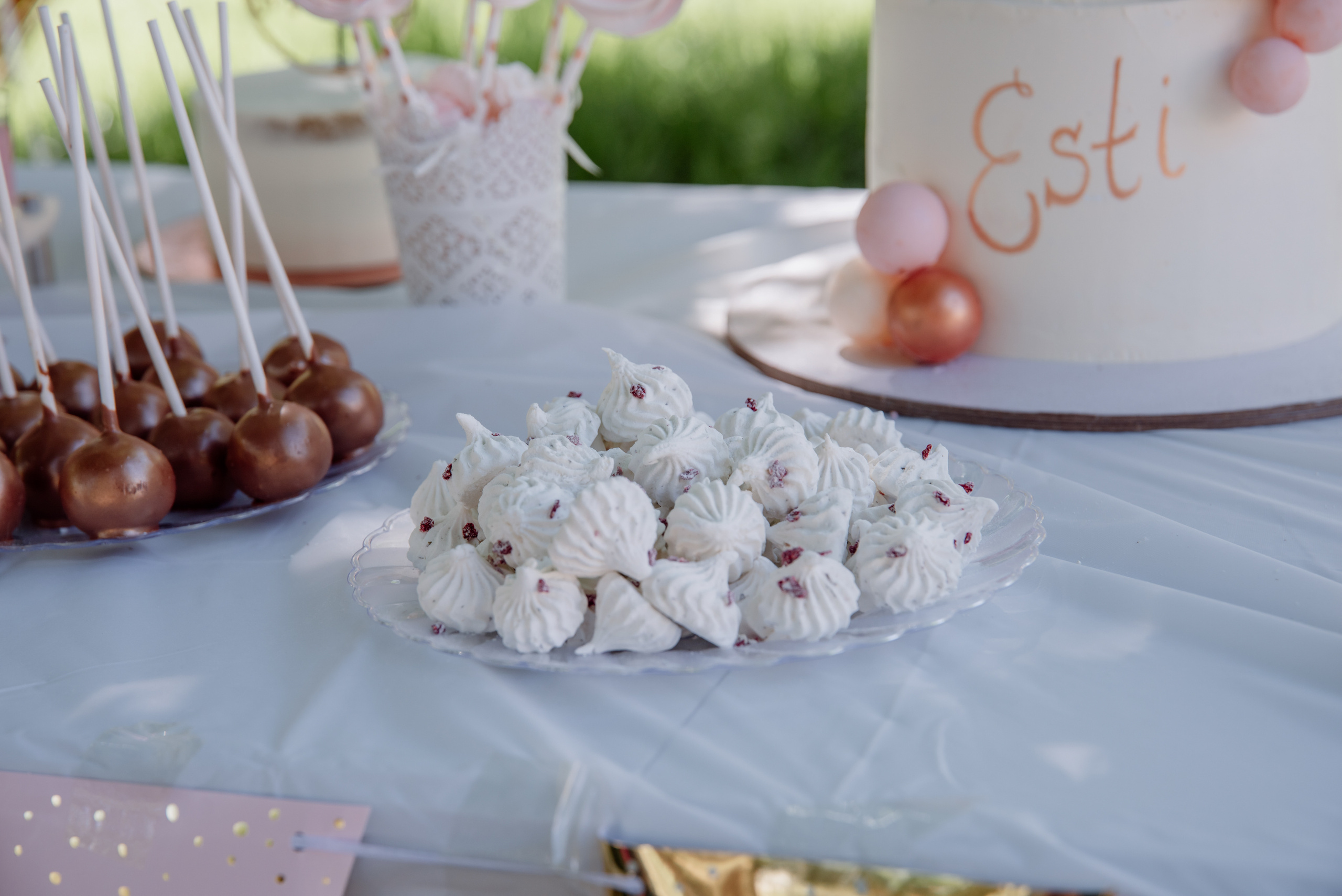 Esti’s birthday 1 year. Люба Тернавская. Фотограф Иерусалим. Фотограф Израиль