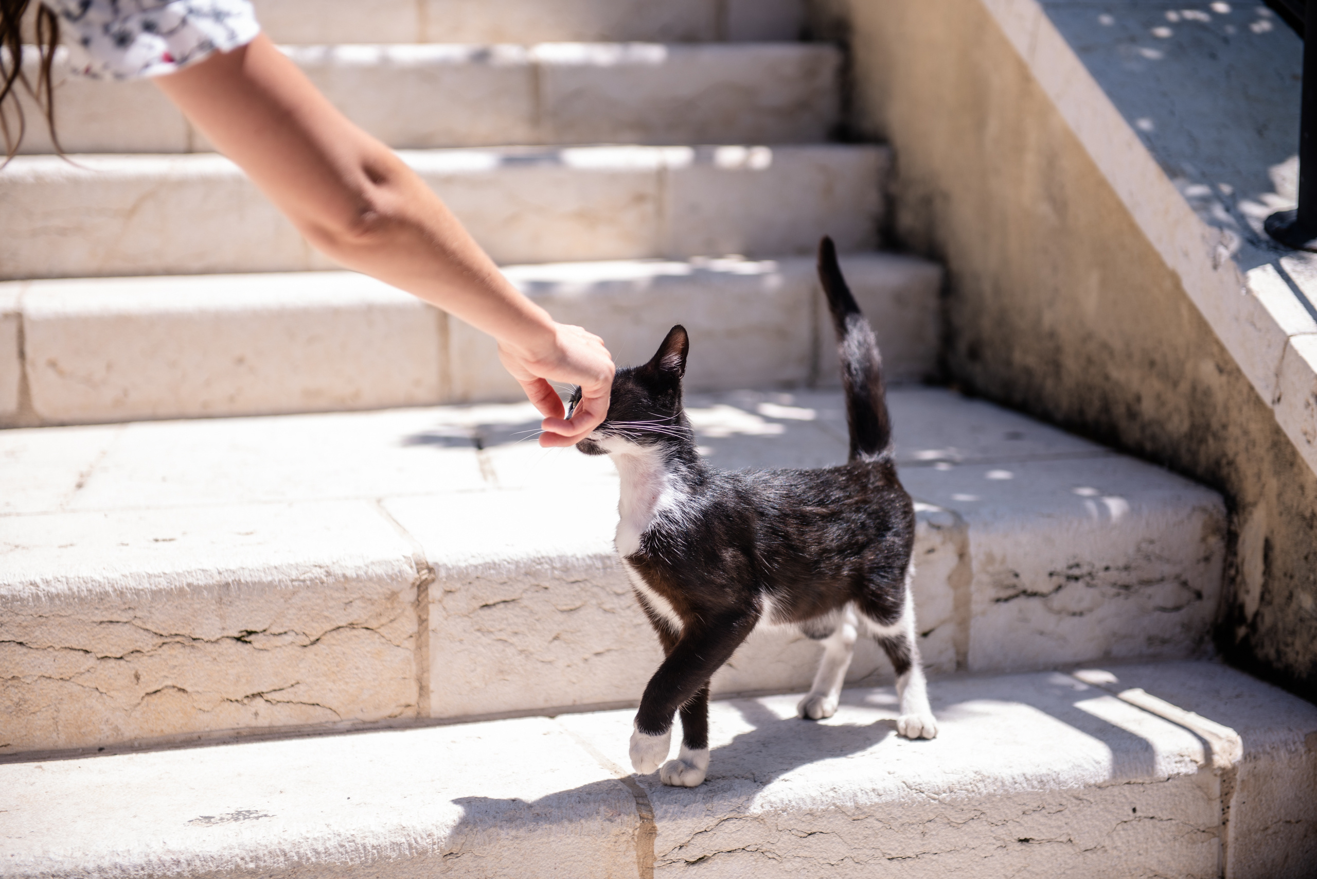 Летняя фотосессия в Иерусалиме. Люба Тернавская. Фотограф Иерусалим. Фотограф Израиль