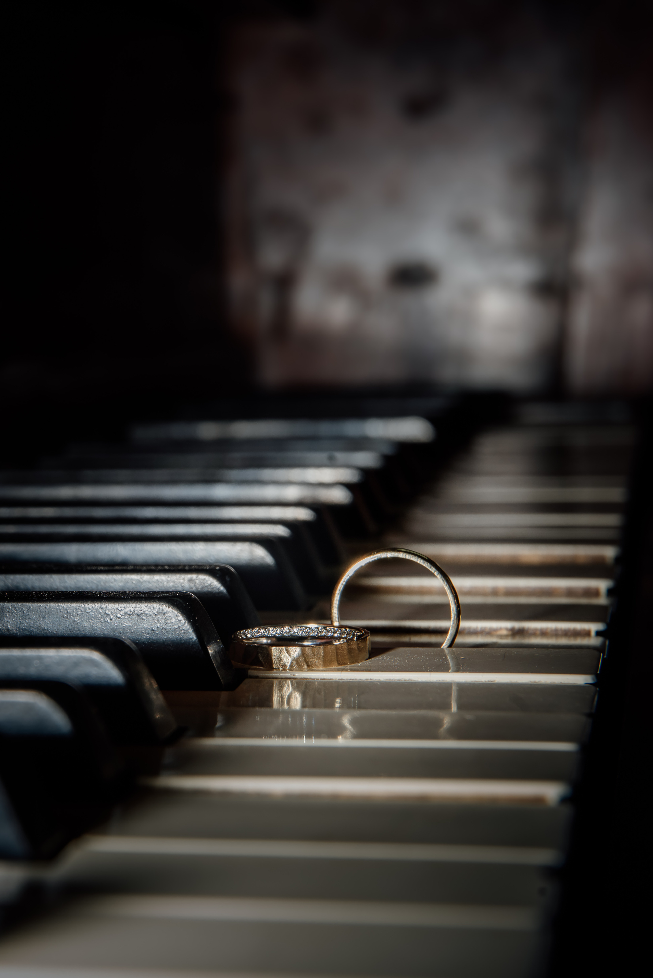 Shahaf & Ofir. צלמת ירושלים תל אביב ישראל