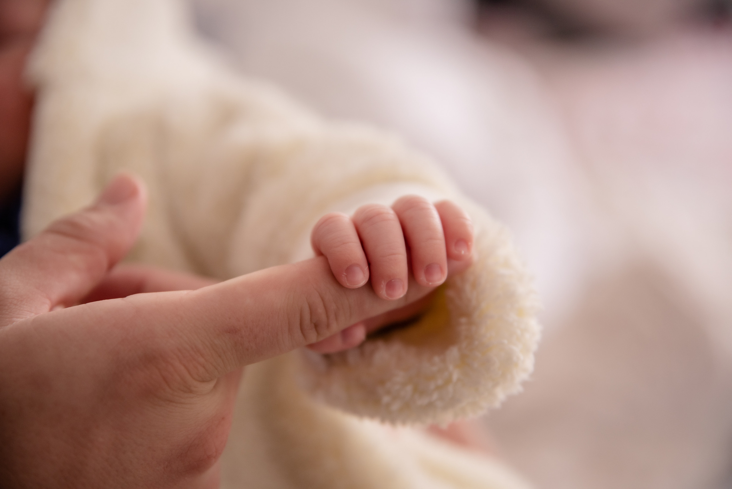 Nastya & Maksim. צלמת ירושלים תל אביב ישראל