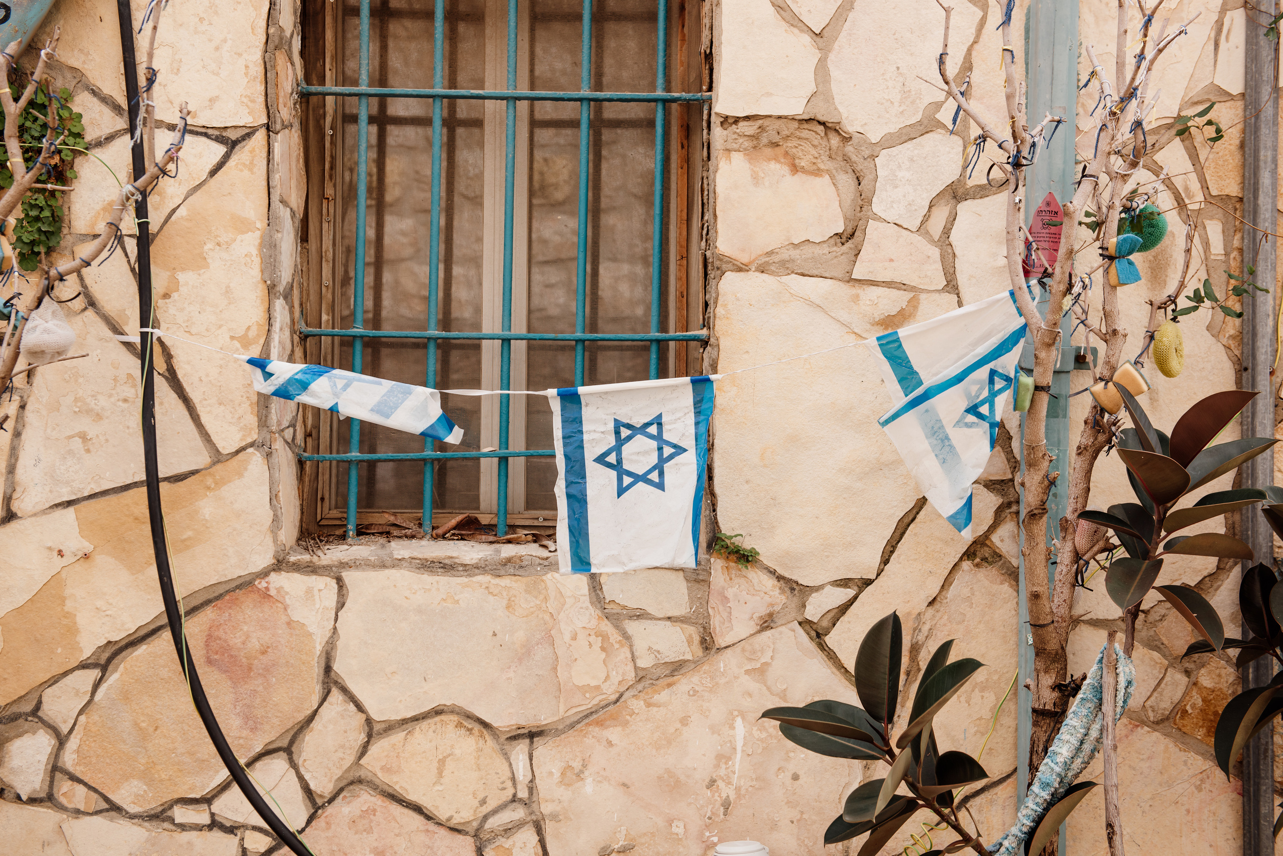 My favorite flag. צלמת ירושלים תל אביב ישראל