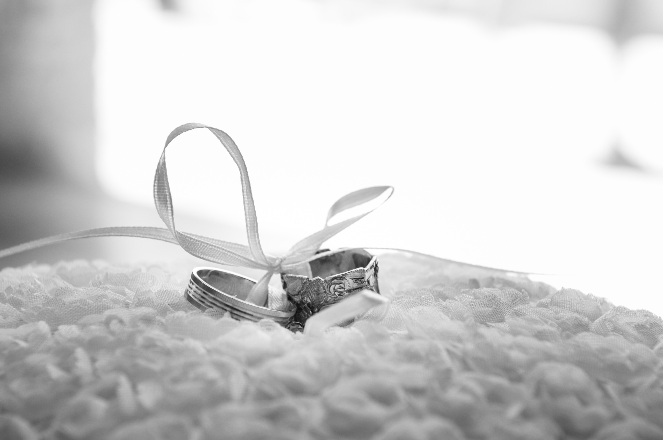 Sabina & Vitya. Photographer in Israel Luba Ternavskaya