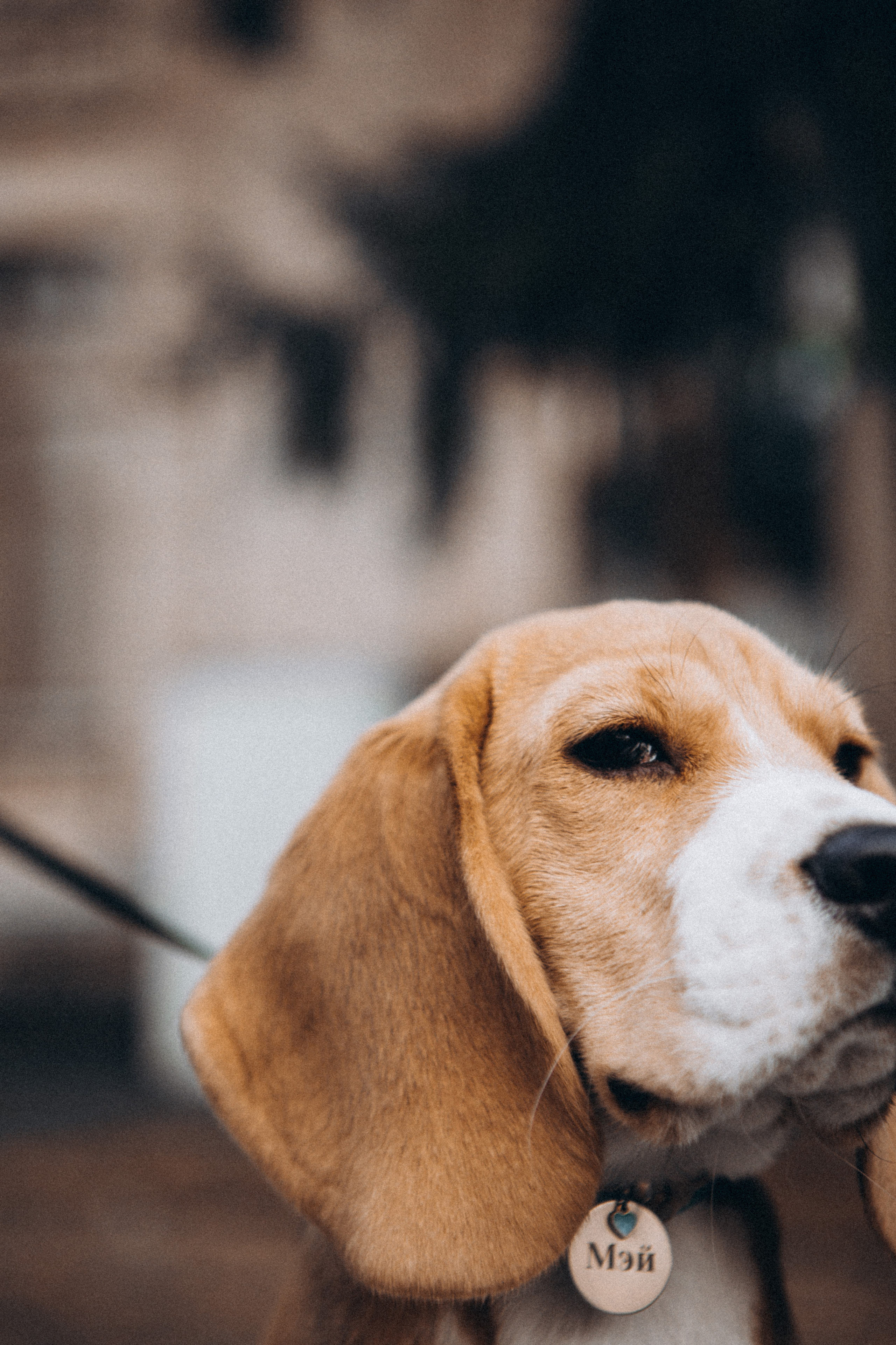 Дмитрий, Наталья и Мэй. Кильницкая Яна — фотограф Киев
