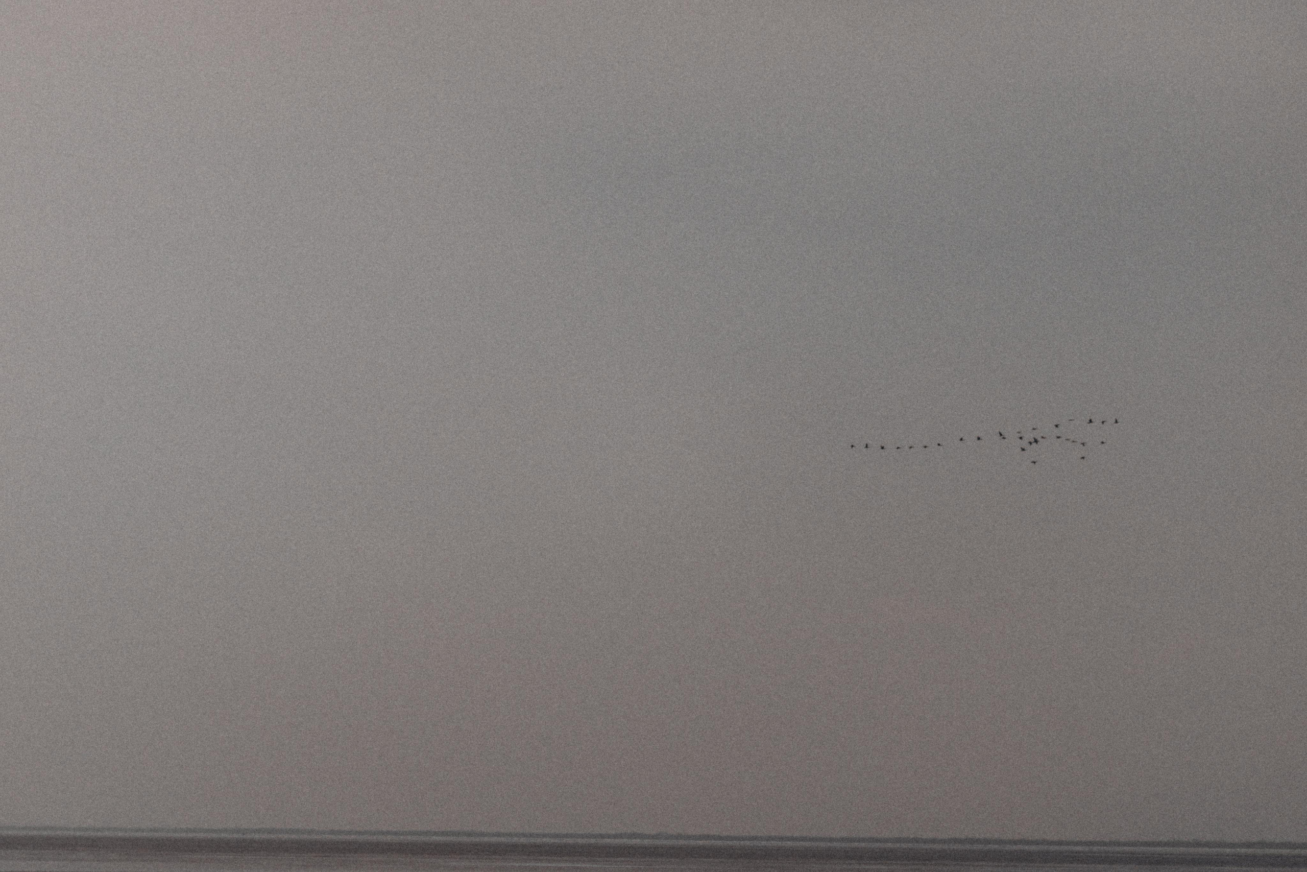 Макс и Марина. Кильницкая Яна — фотограф Киев