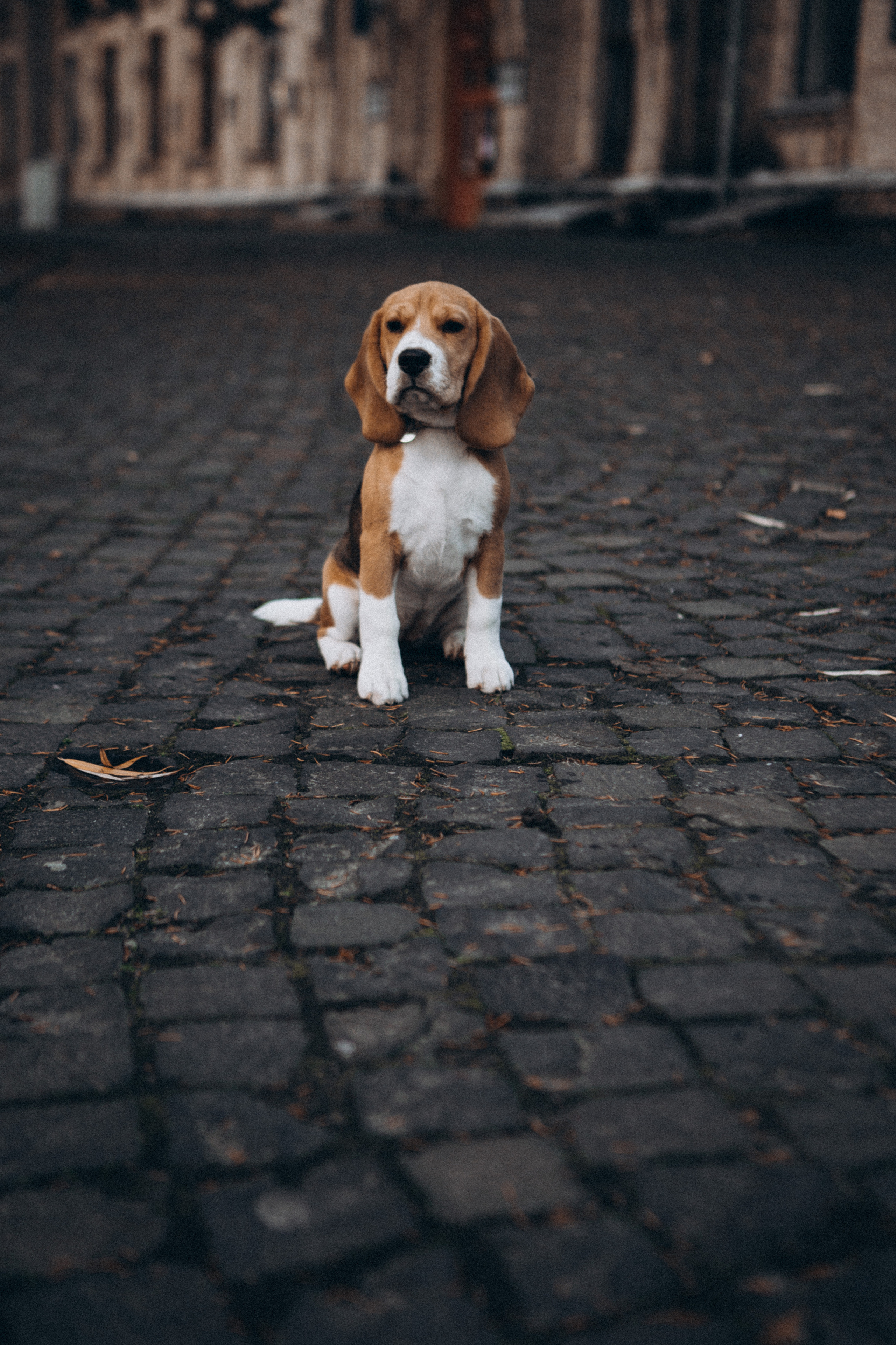 Дмитрий, Наталья и Мэй. Кильницкая Яна — фотограф Киев