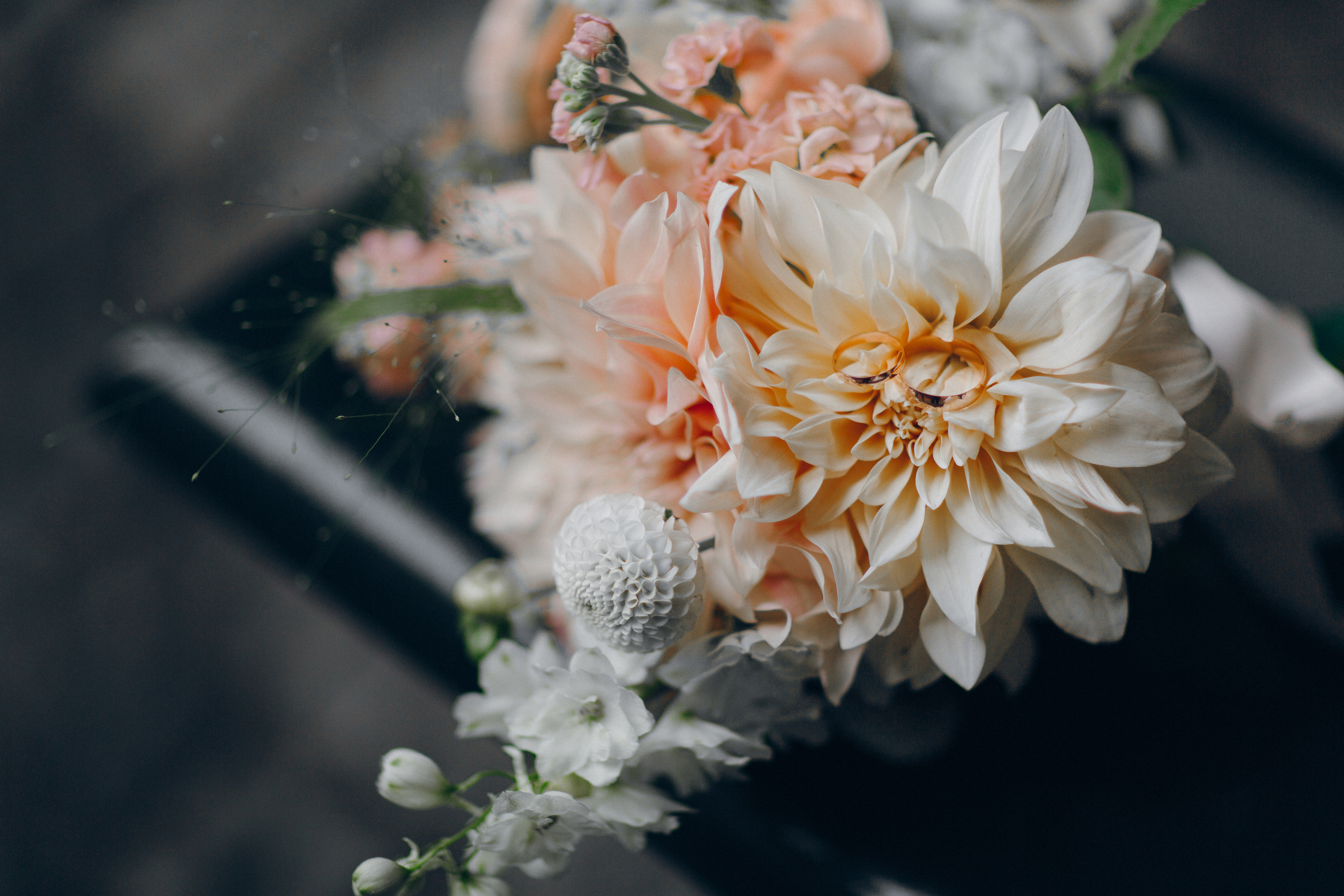 Свадебный фотограф в Киеве. Свадебный фотограф в Германии