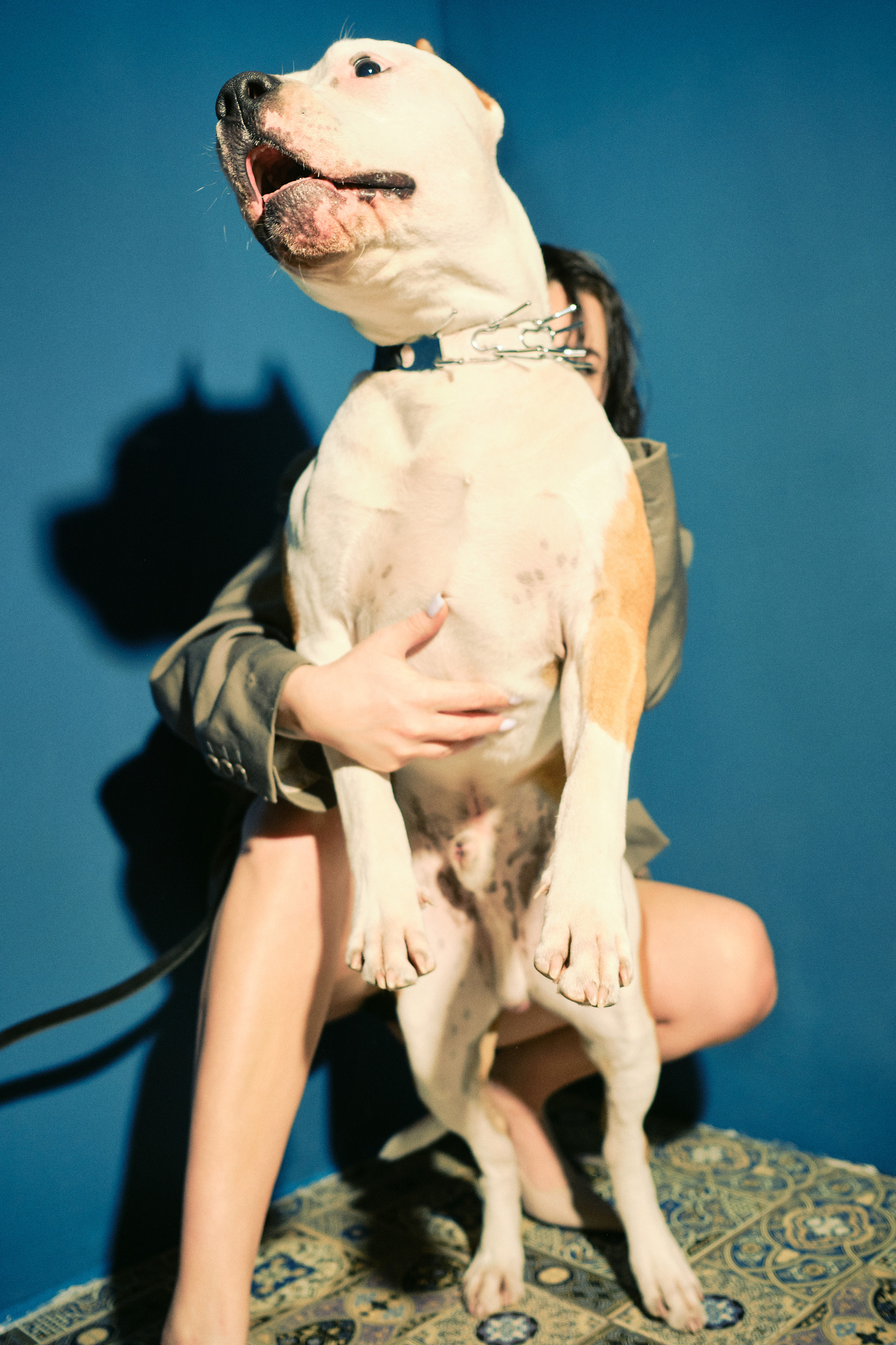 Аня. Рекламный и портретный фотограф в Украине. Андрей Дерич