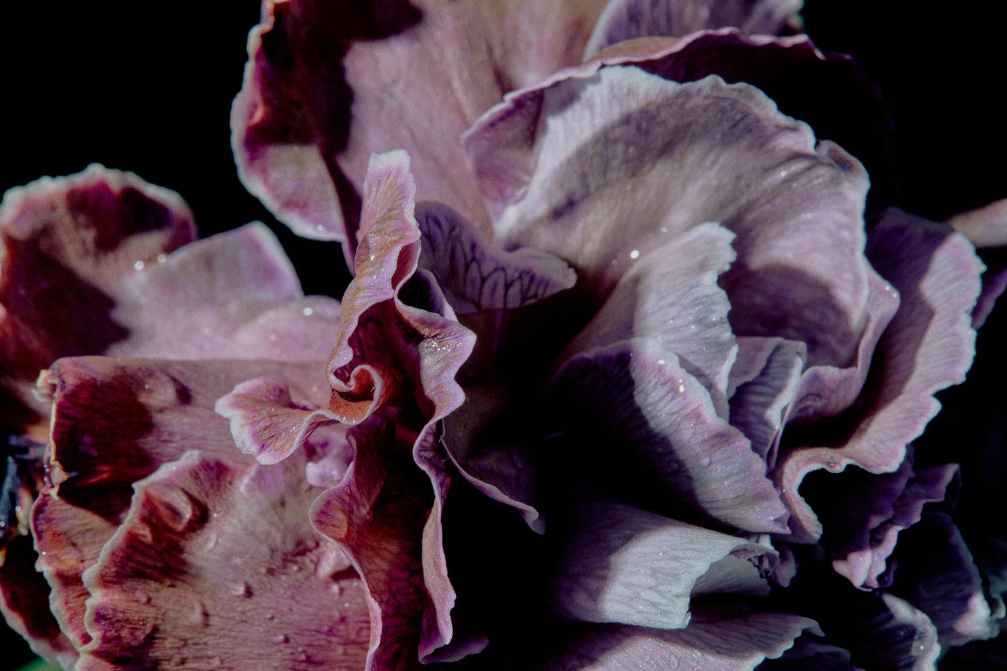 Катя. Рекламный и портретный фотограф в Украине. Андрей Дерич