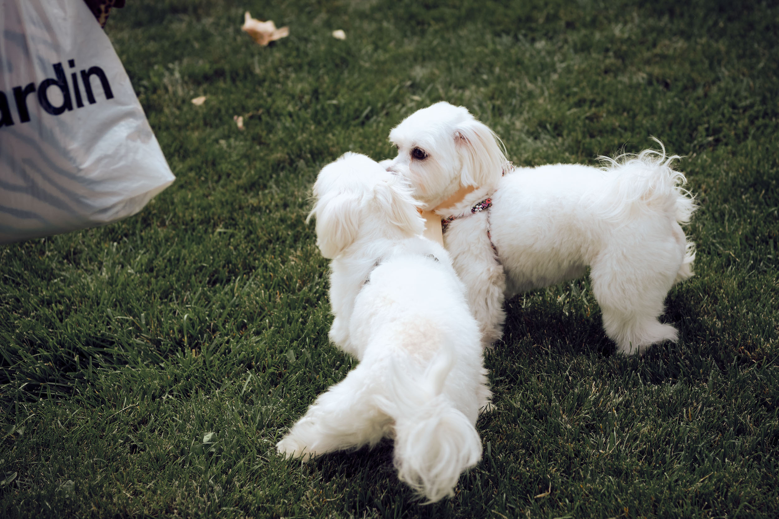 Wedding. Рекламный и портретный фотограф в Украине. Андрей Дерич