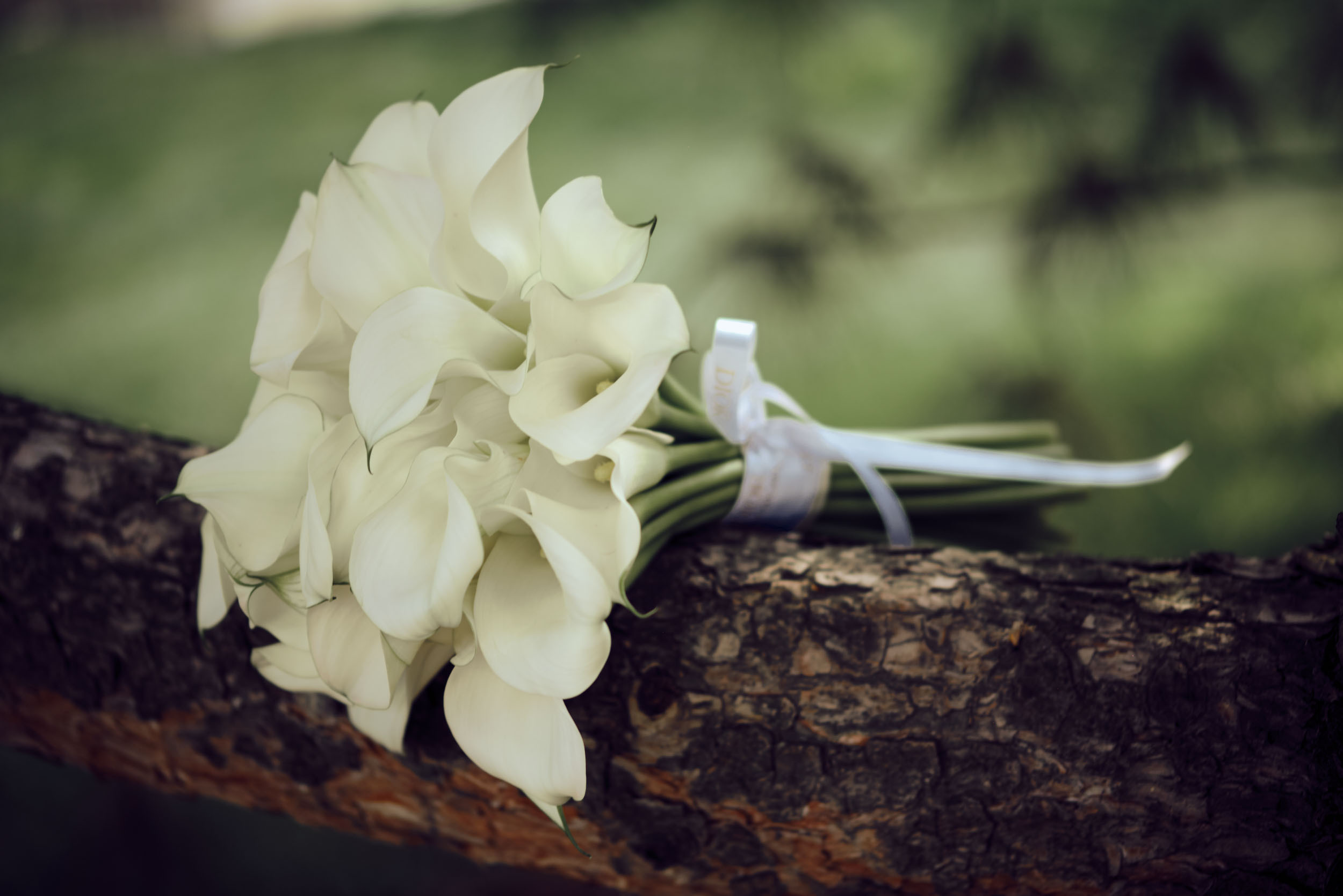 Wedding. Рекламный и портретный фотограф в Украине. Андрей Дерич