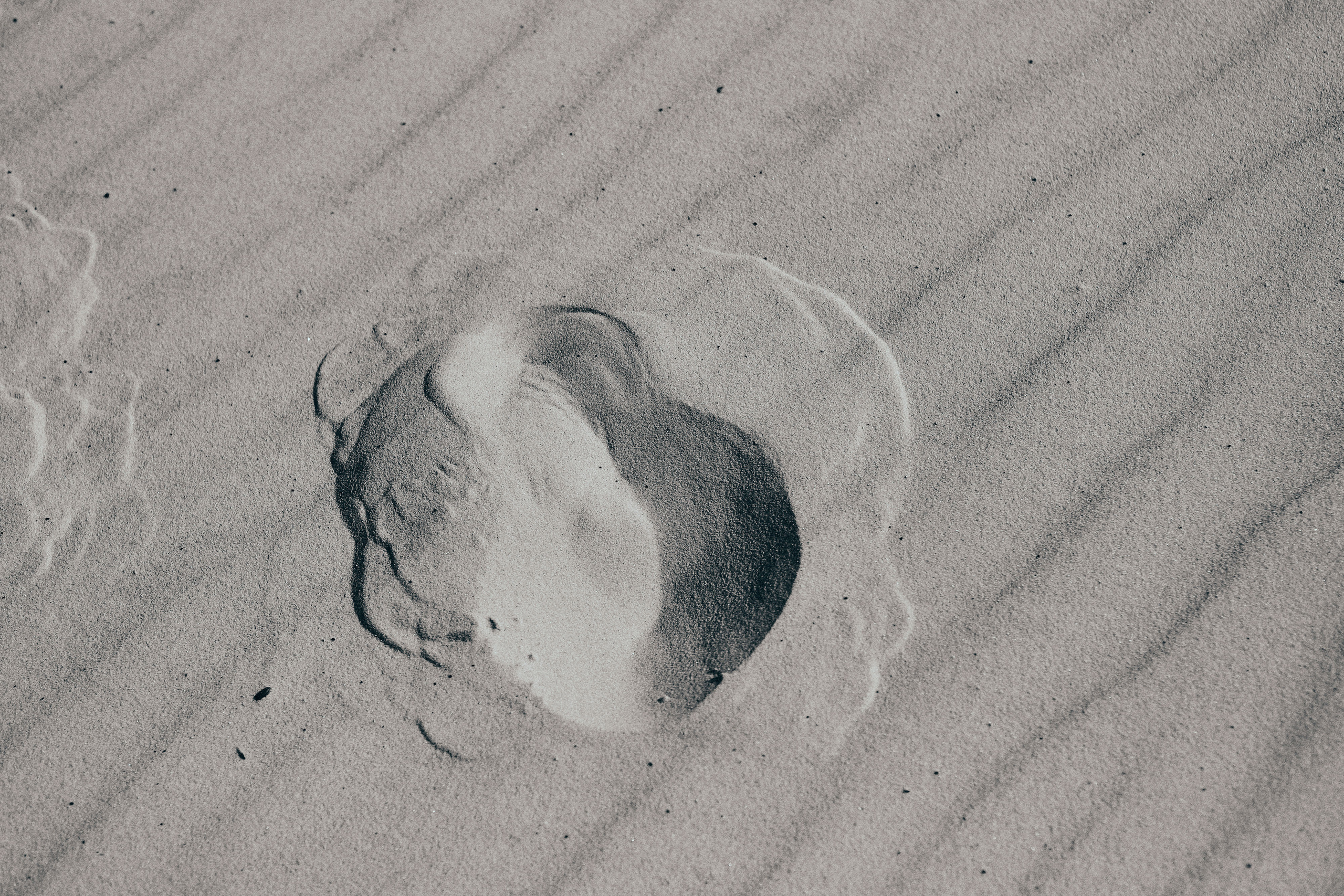 Лера. Рекламный и портретный фотограф в Украине. Андрей Дерич