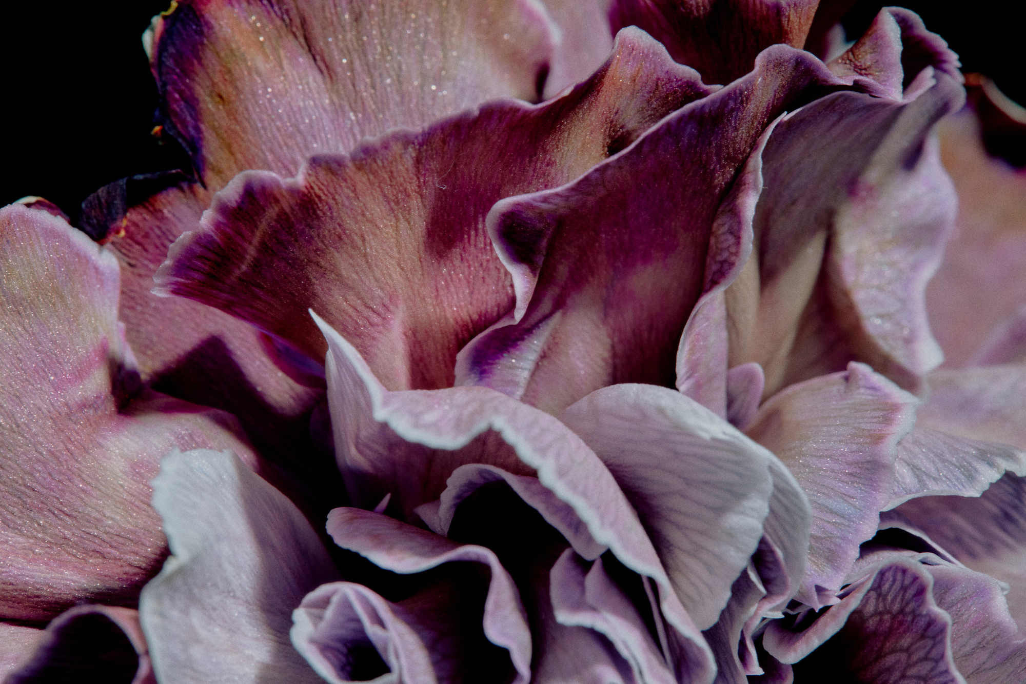 Катя. Рекламный и портретный фотограф в Украине. Андрей Дерич