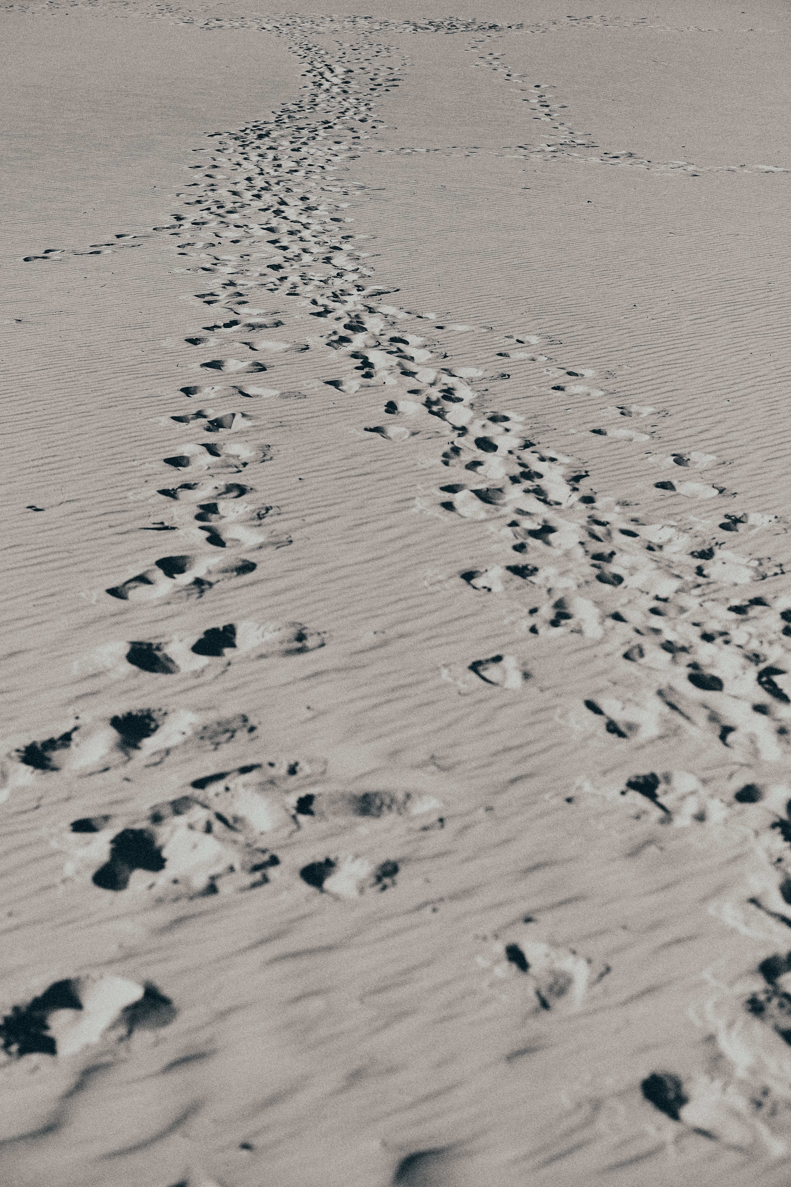 Лера. Рекламный и портретный фотограф в Украине. Андрей Дерич