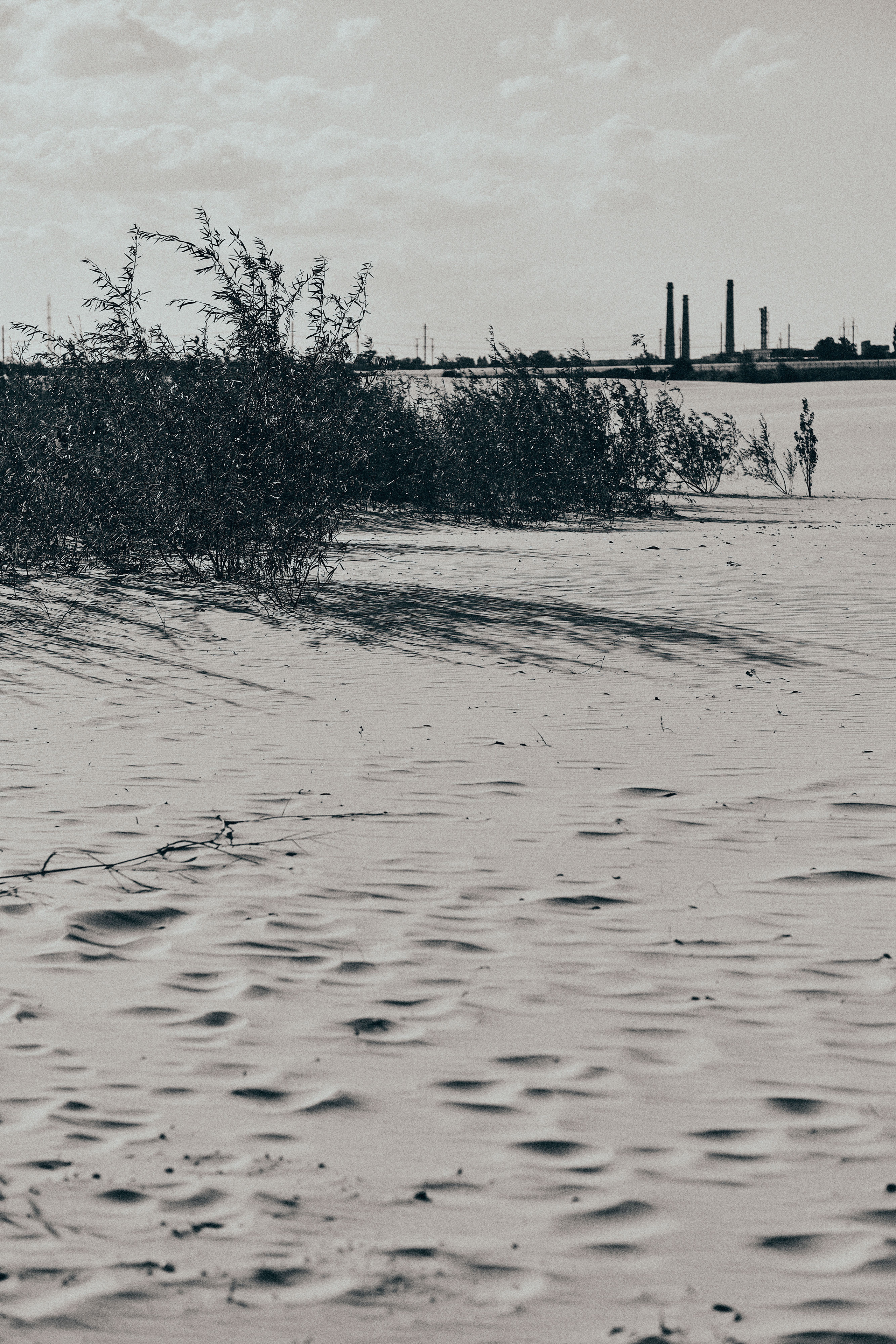 Лера. Рекламный и портретный фотограф в Украине. Андрей Дерич