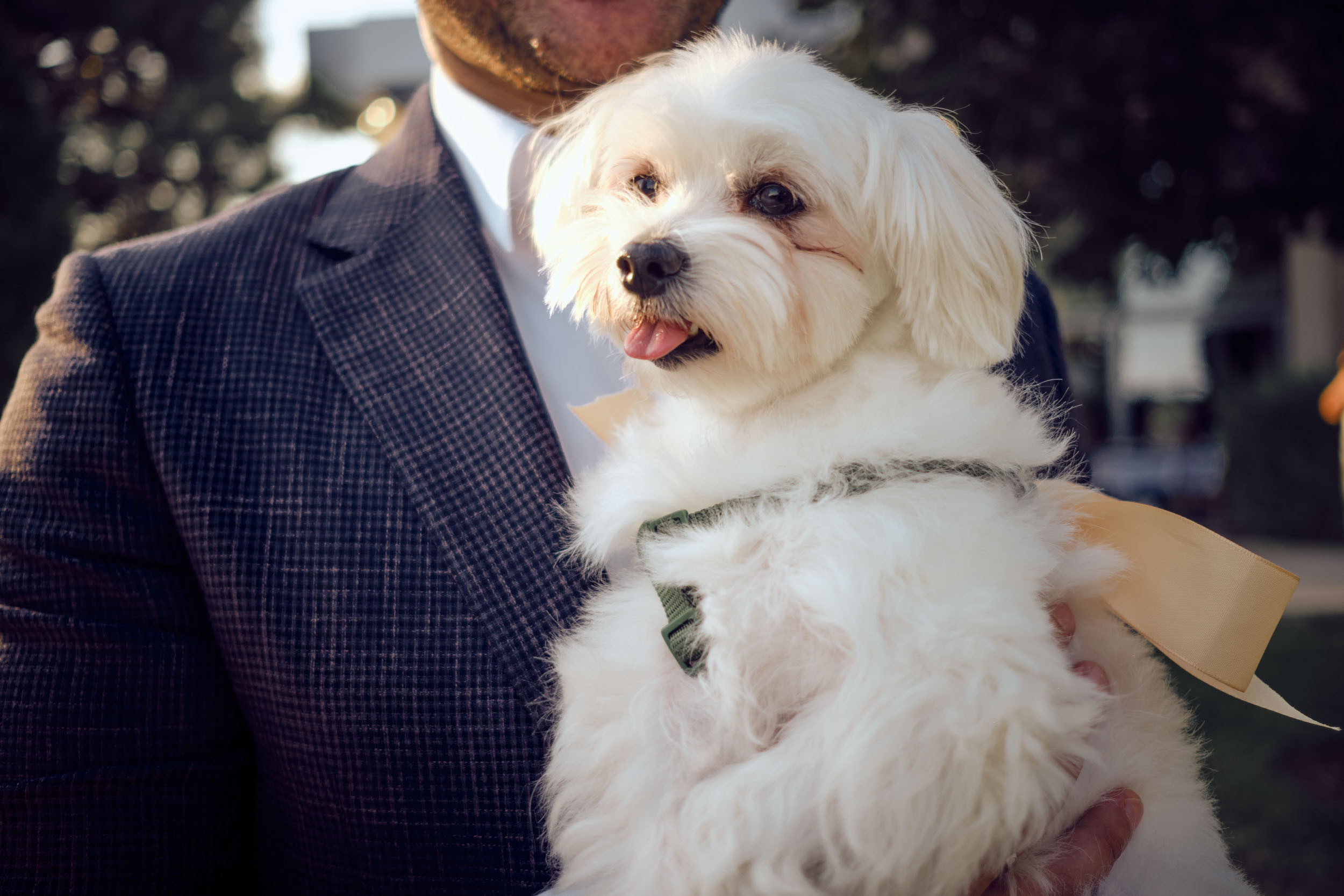 Wedding. Рекламный и портретный фотограф в Украине. Андрей Дерич