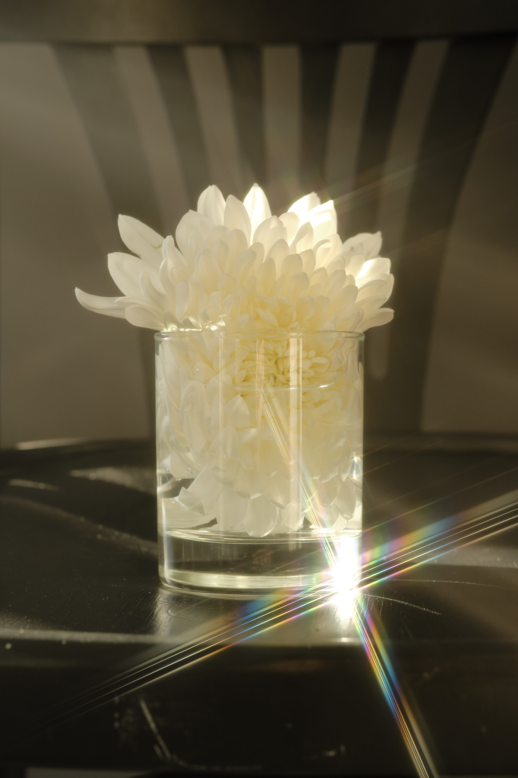 Настя. Рекламный и портретный фотограф в Украине. Андрей Дерич