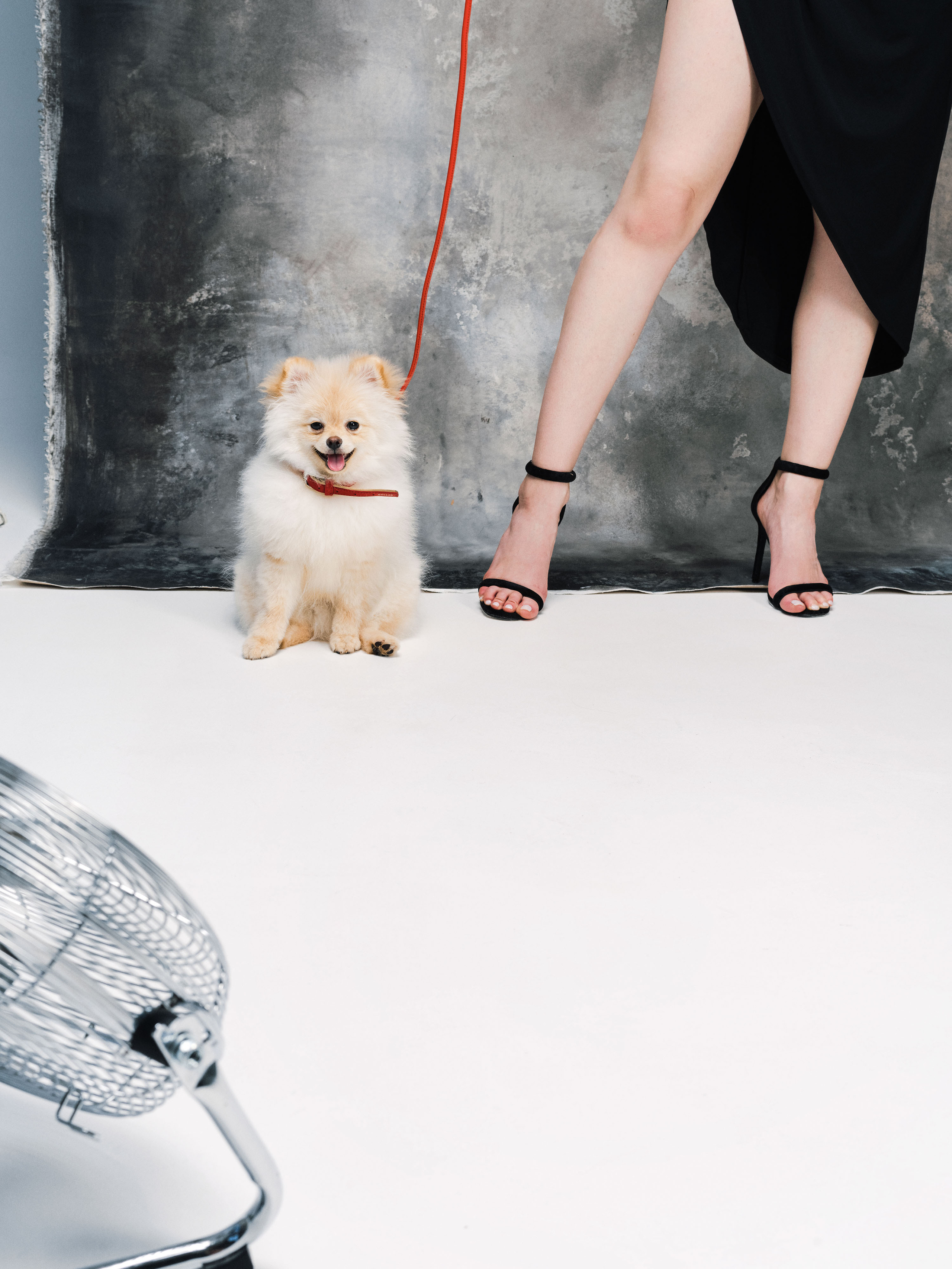 Даша. Рекламный и портретный фотограф в Украине. Андрей Дерич