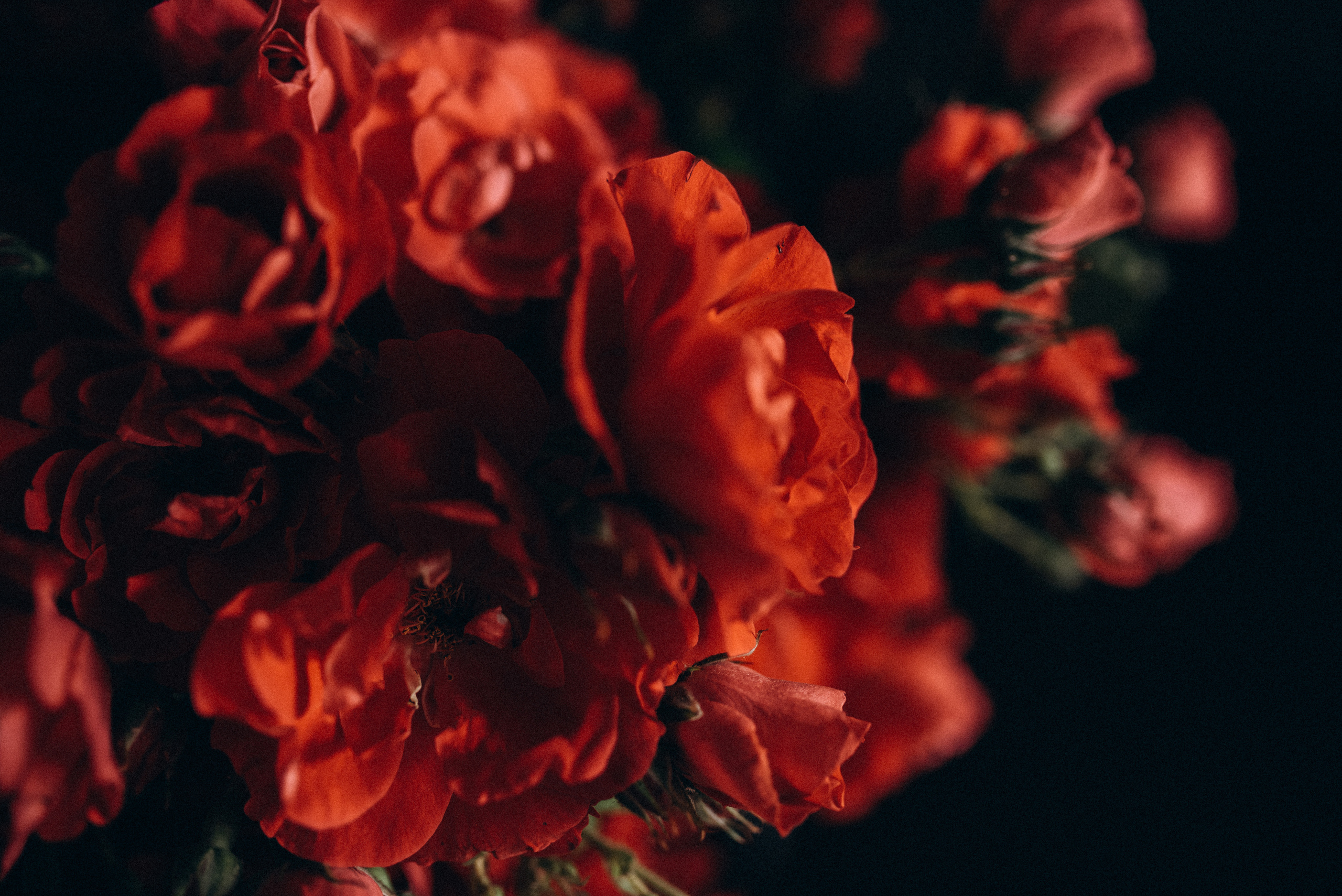 ФОТОШПАЛЕРИ. Семейный фотограф Екатерина Воробьева