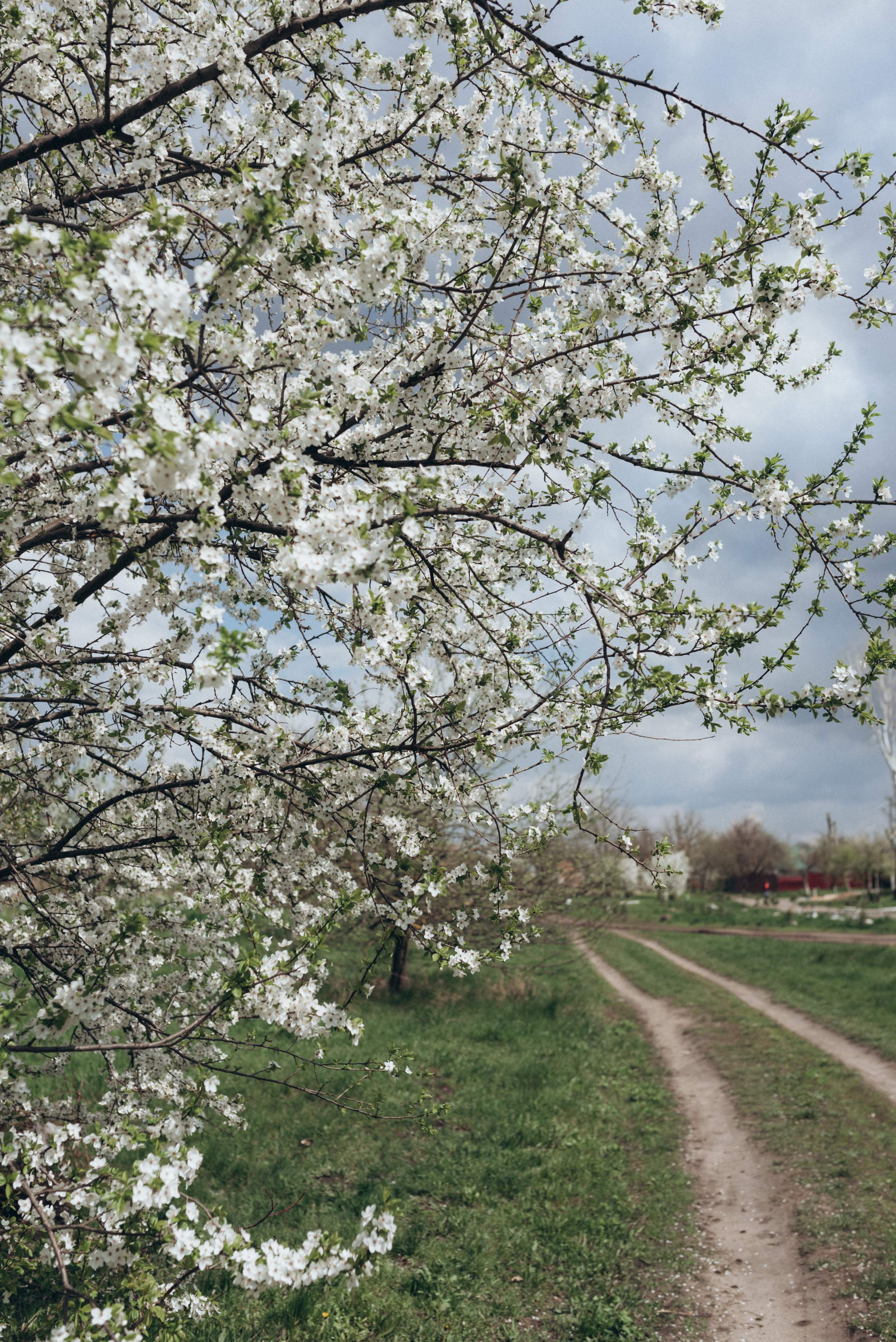 ФОТОШПАЛЕРИ. Семейный фотограф Екатерина Воробьева