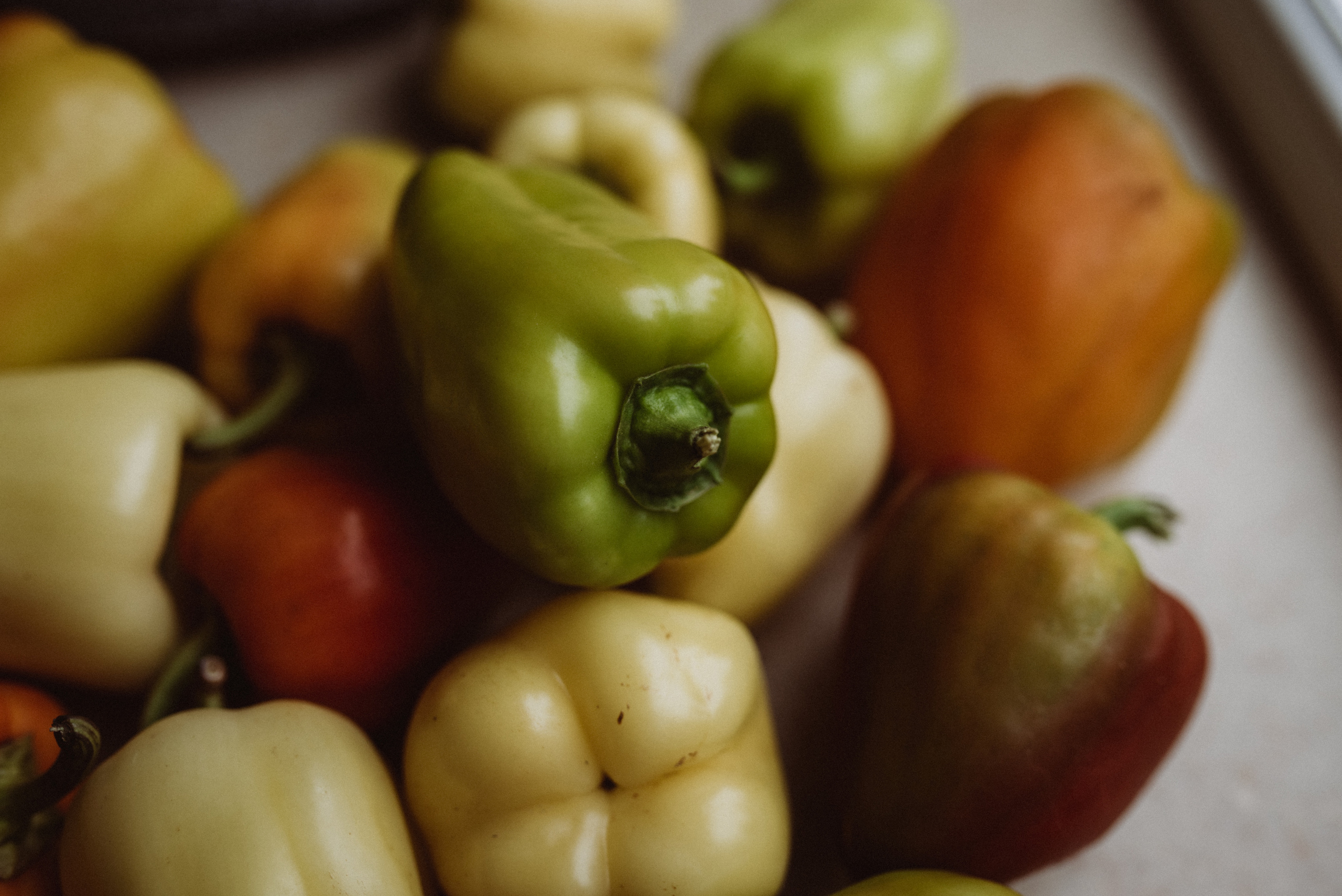 ФОТОШПАЛЕРИ. Семейный фотограф Екатерина Воробьева