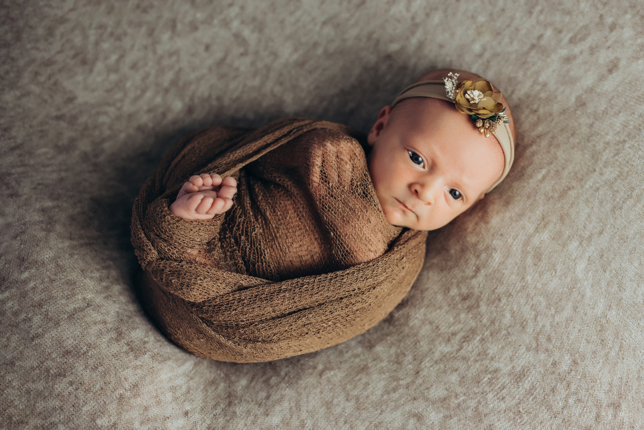Емілія 12 днів. Семейный фотограф Екатерина Воробьева