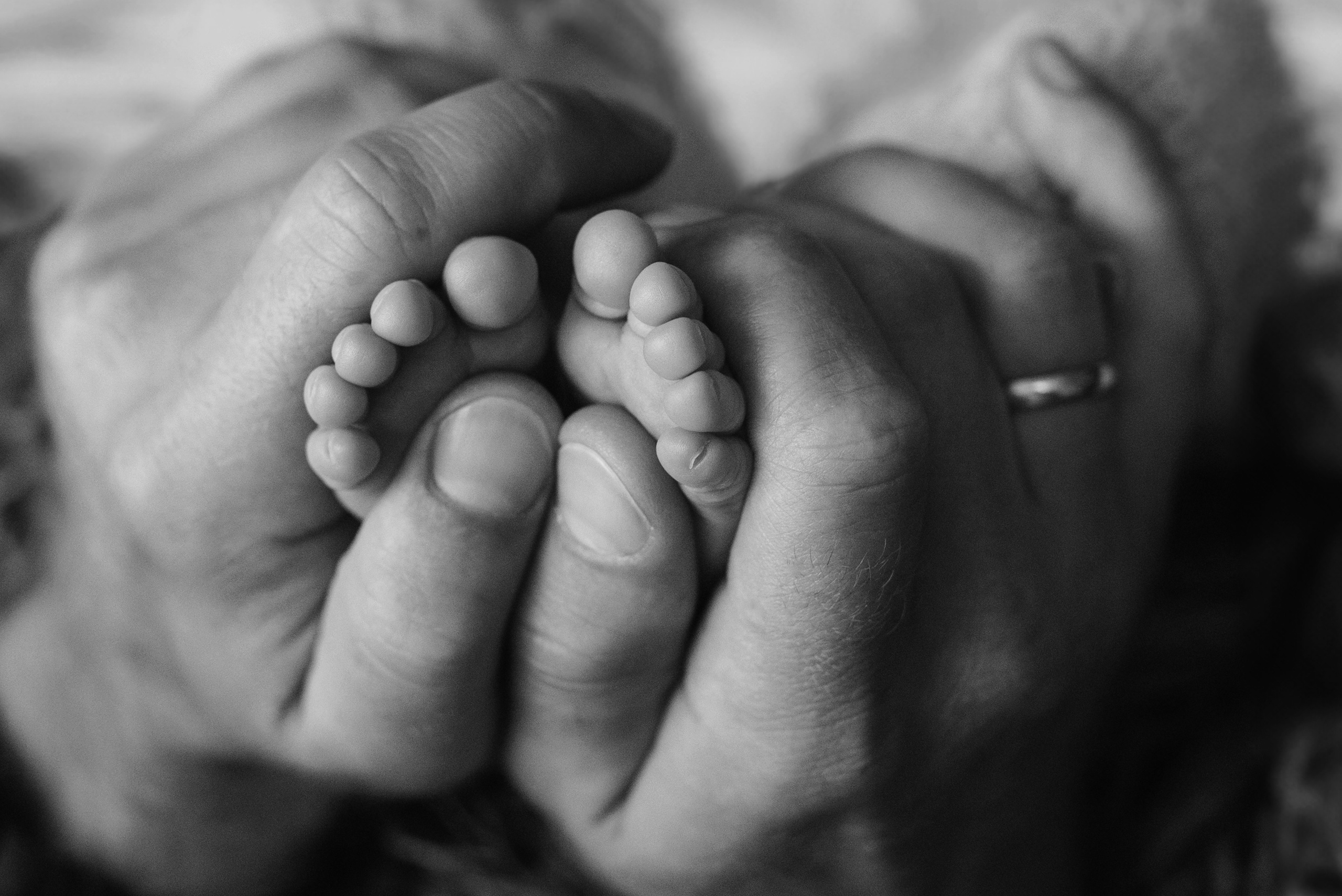 Соломія 12дней. Семейный фотограф Екатерина Воробьева