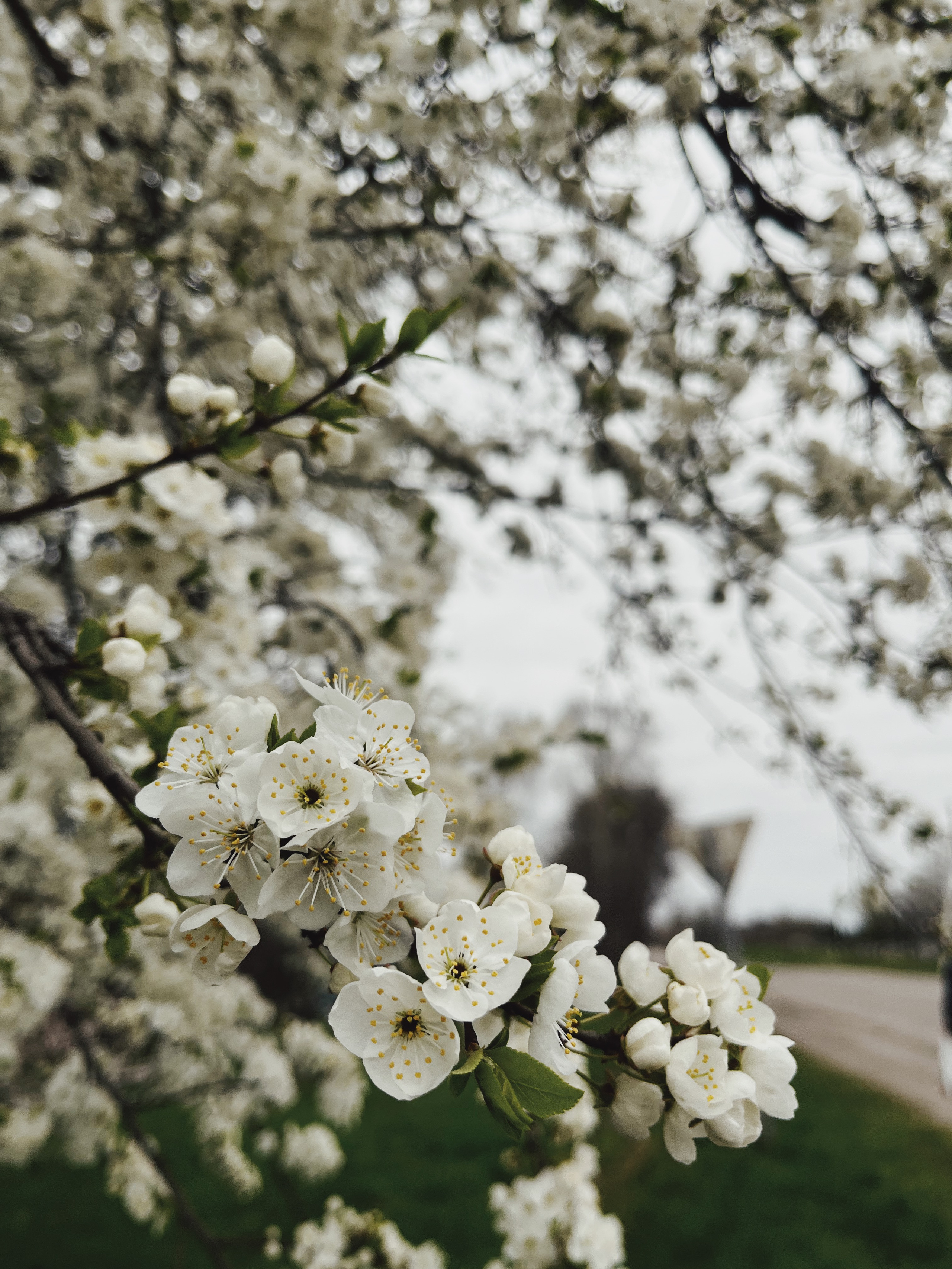 ФОТОШПАЛЕРИ. Семейный фотограф Екатерина Воробьева