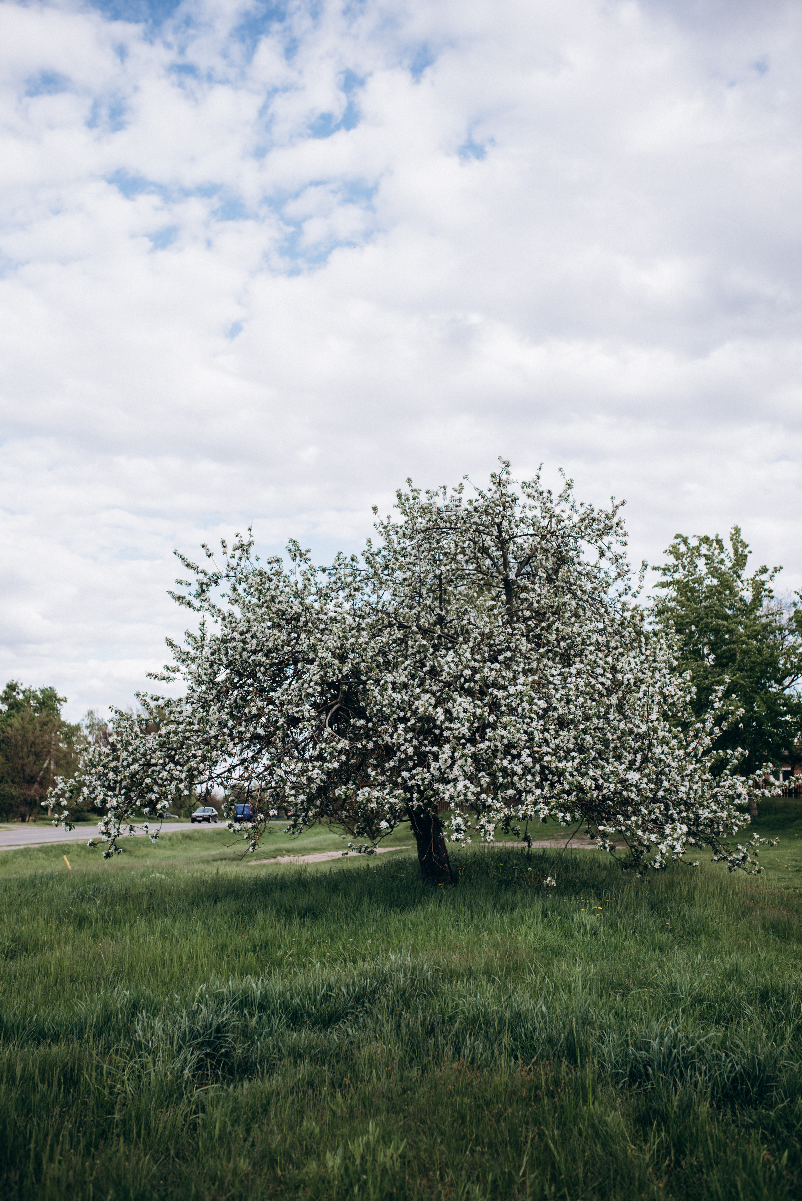 ФОТОШПАЛЕРИ. Семейный фотограф Екатерина Воробьева