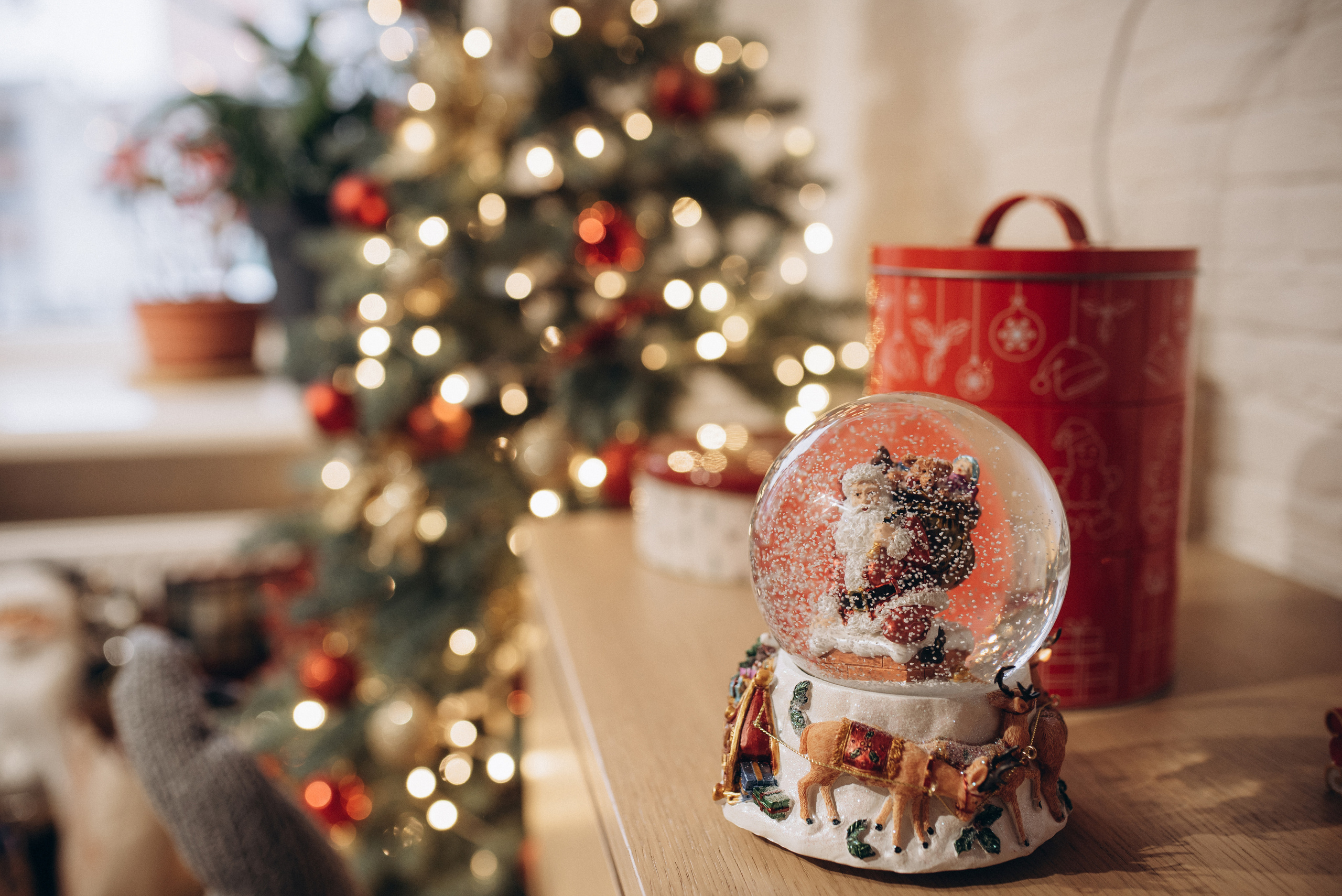 Максим і Віка. Новорічна історія. Семейный фотограф Екатерина Воробьева