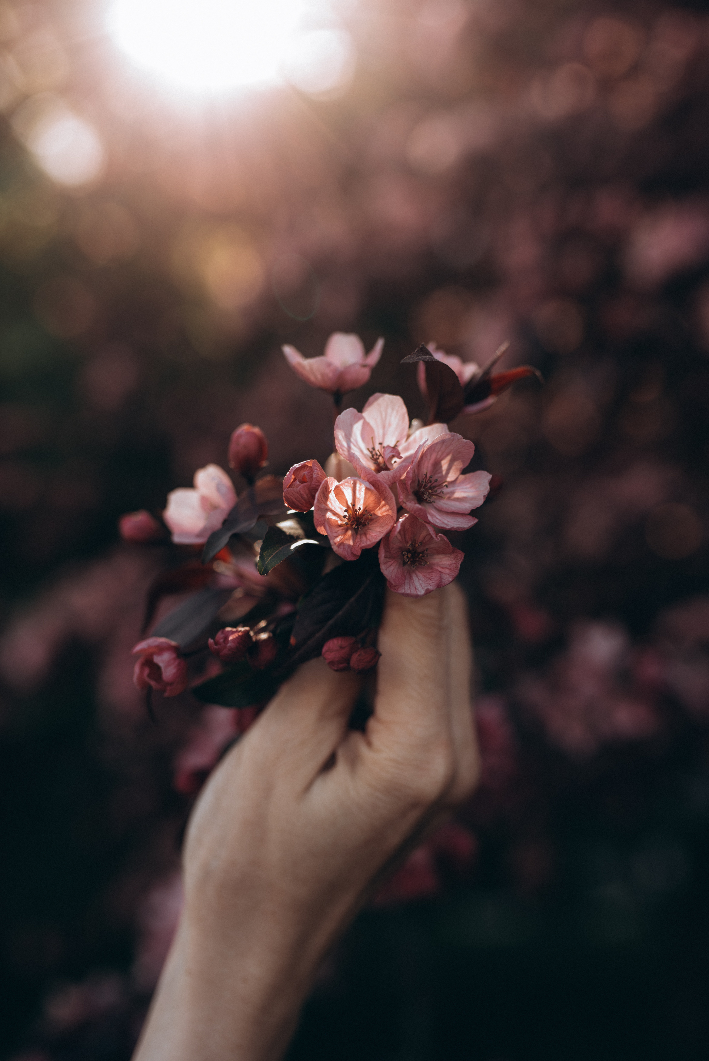 ФОТОШПАЛЕРИ. Семейный фотограф Екатерина Воробьева