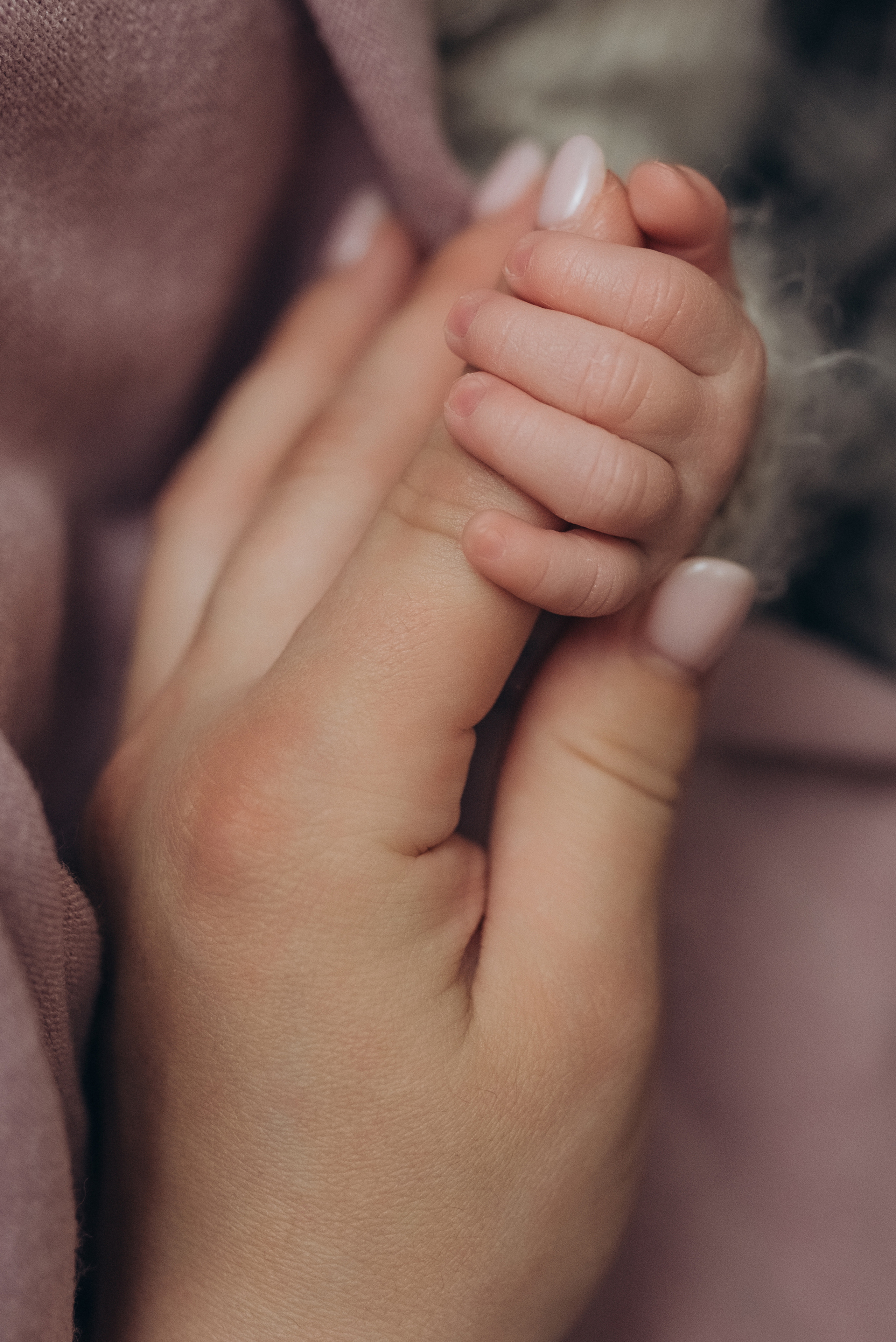 Соломія 12дней. Семейный фотограф Екатерина Воробьева