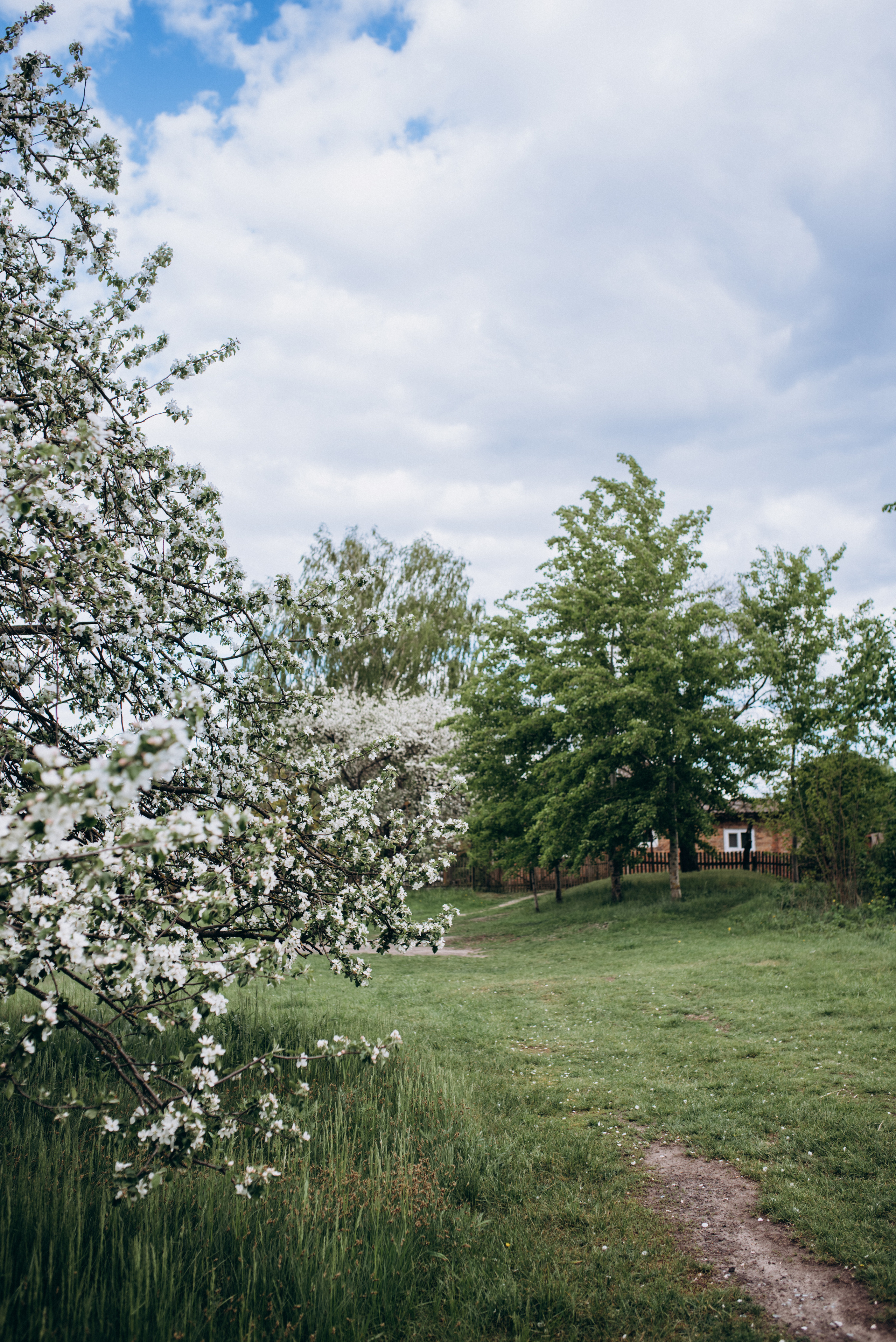 ФОТОШПАЛЕРИ. Семейный фотограф Екатерина Воробьева
