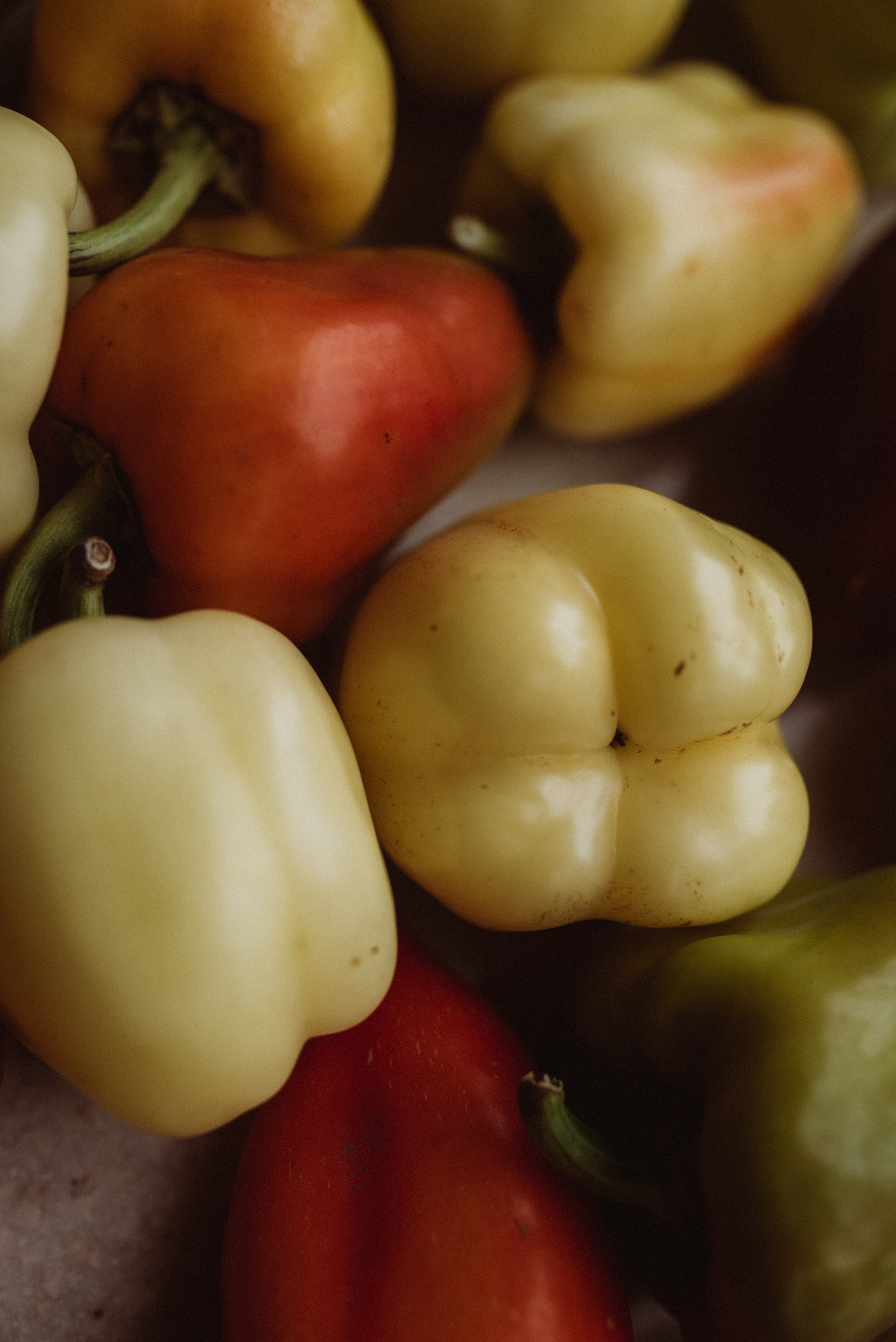 ФОТОШПАЛЕРИ. Семейный фотограф Екатерина Воробьева