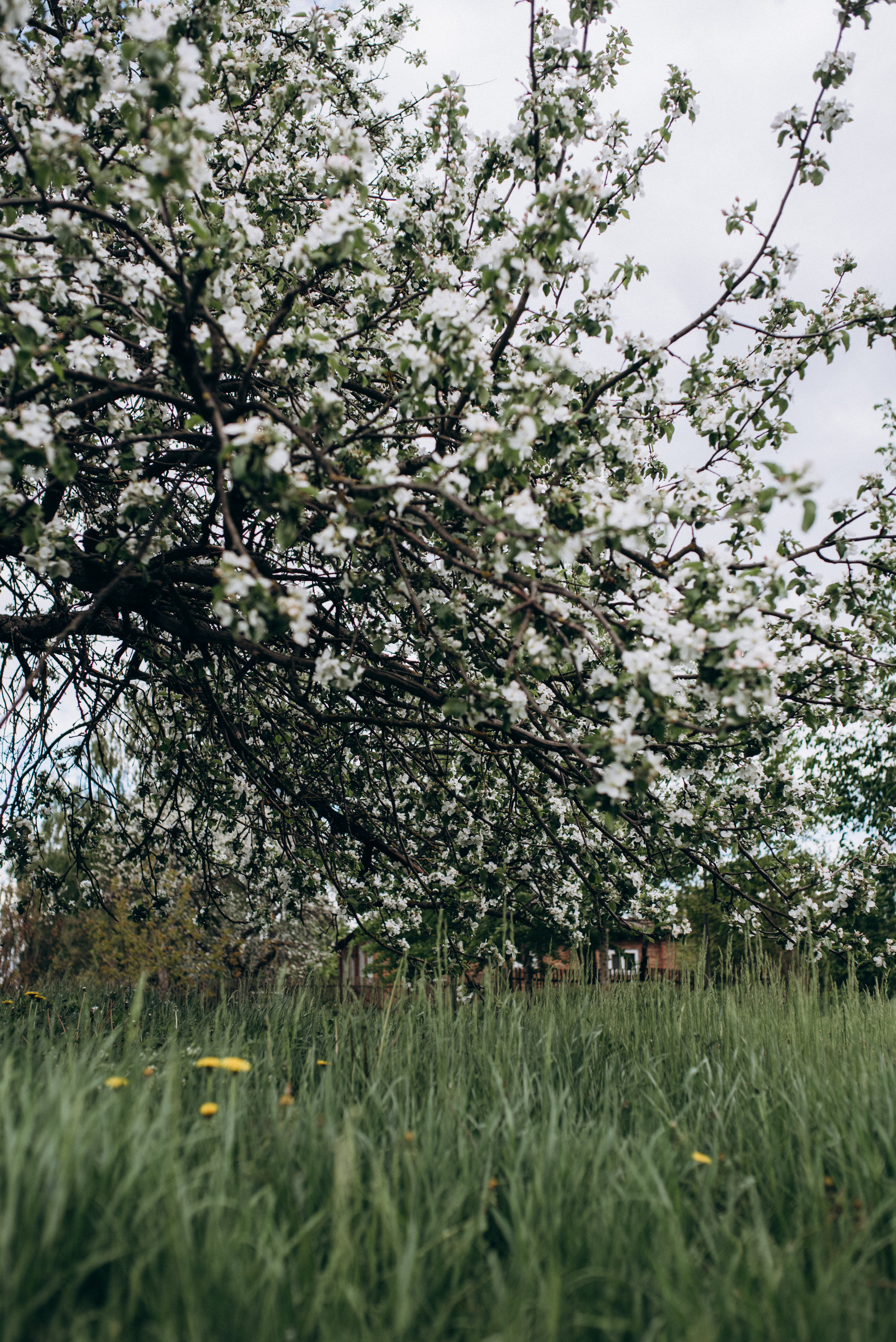 ФОТОШПАЛЕРИ. Семейный фотограф Екатерина Воробьева