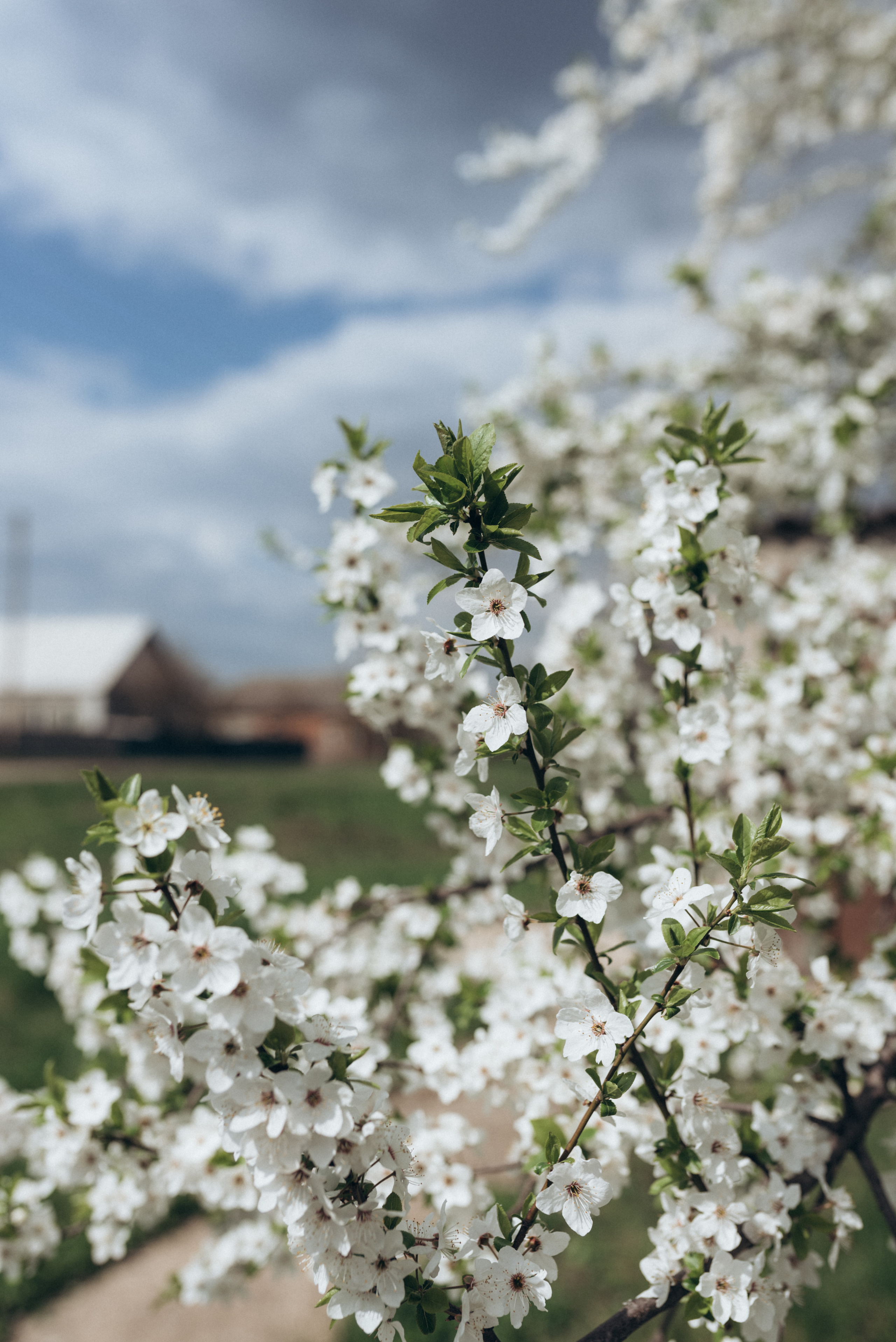 ФОТОШПАЛЕРИ. Семейный фотограф Екатерина Воробьева