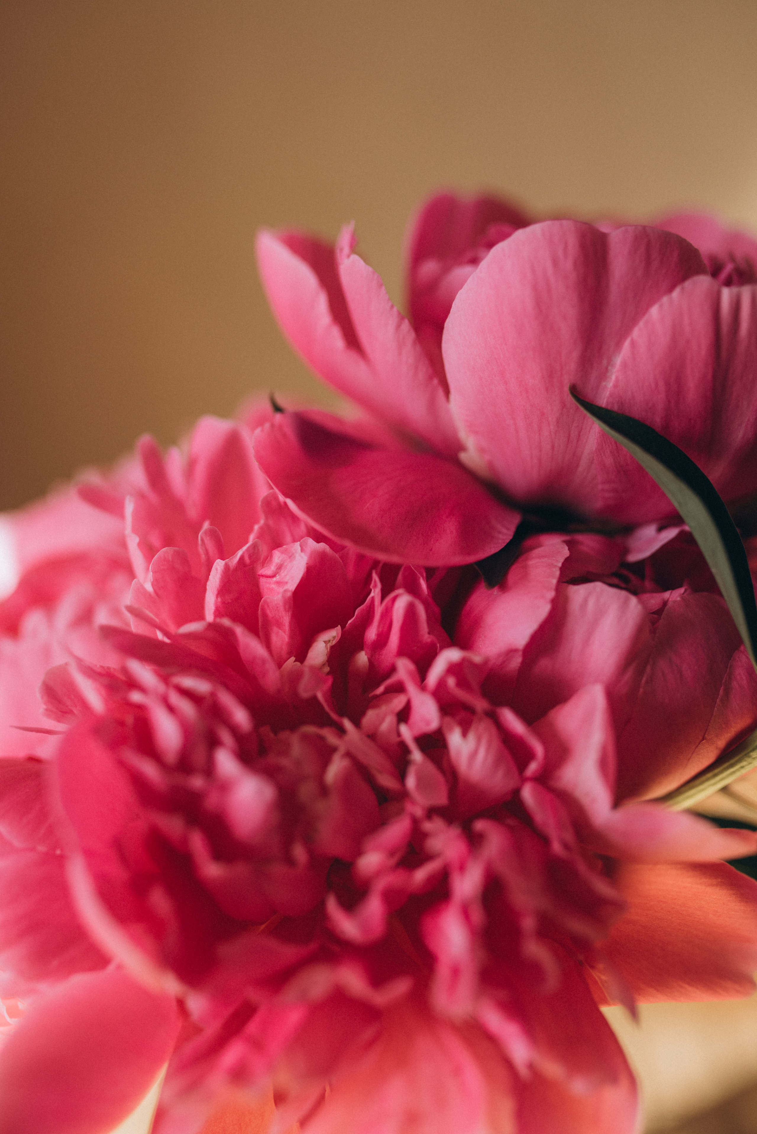 ФОТОШПАЛЕРИ. Семейный фотограф Екатерина Воробьева