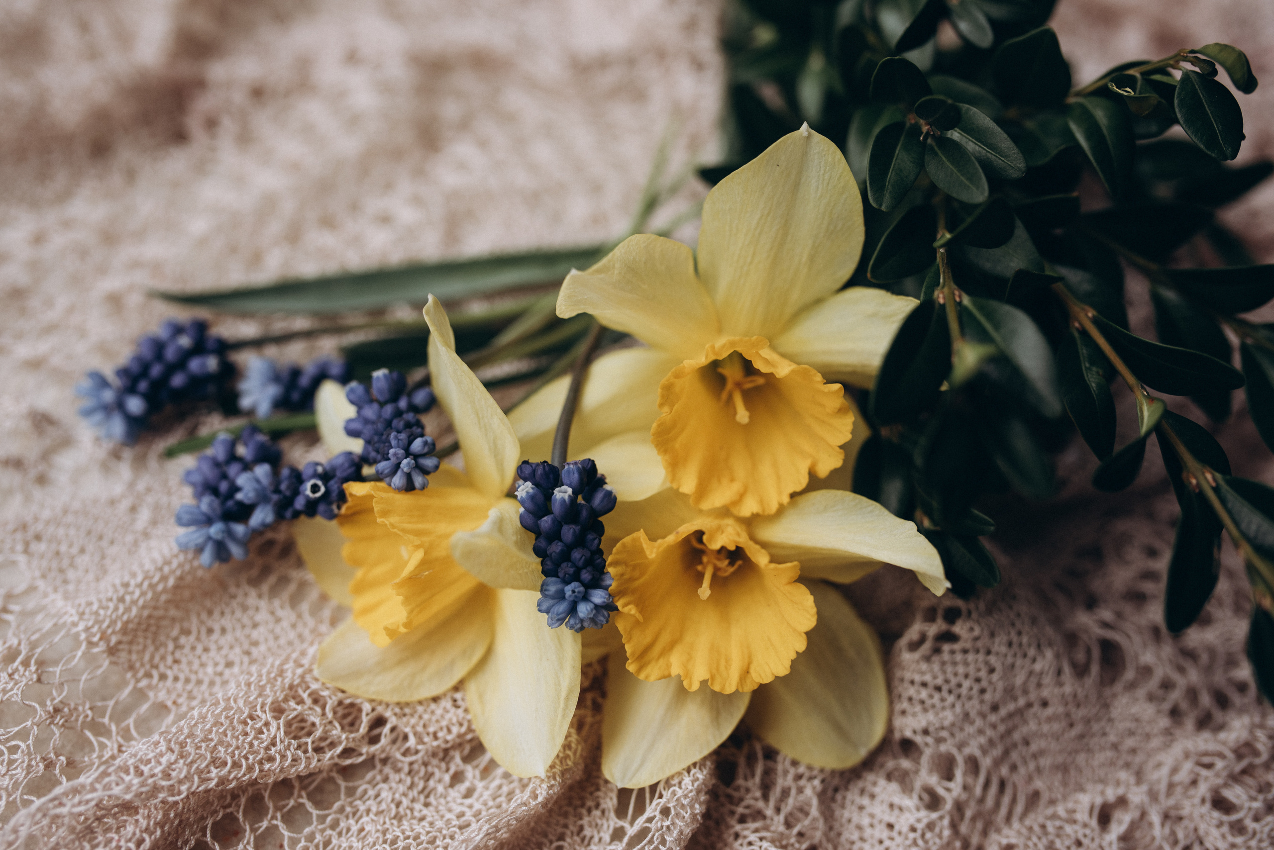 ФОТОШПАЛЕРИ. Семейный фотограф Екатерина Воробьева