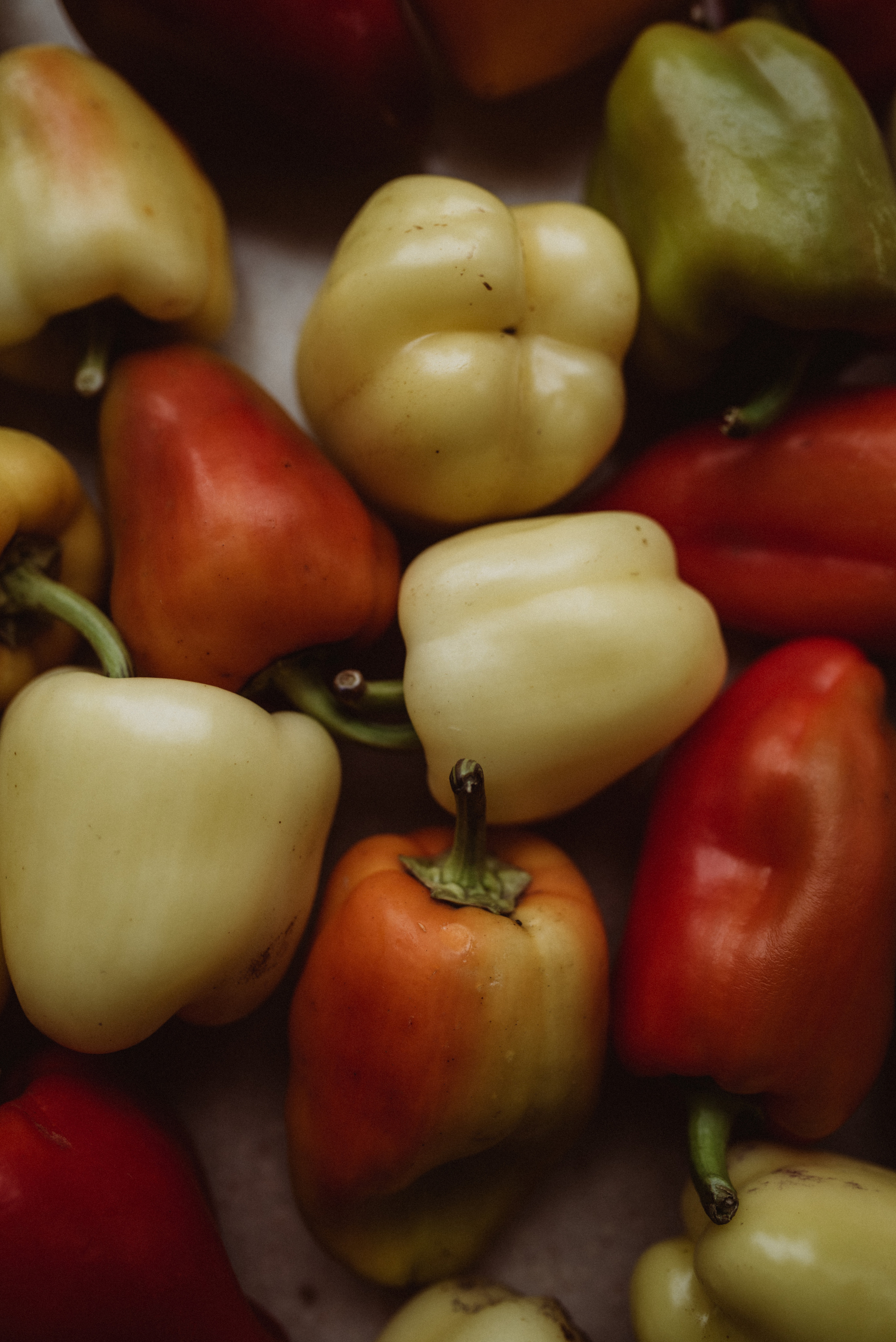 ФОТОШПАЛЕРИ. Семейный фотограф Екатерина Воробьева