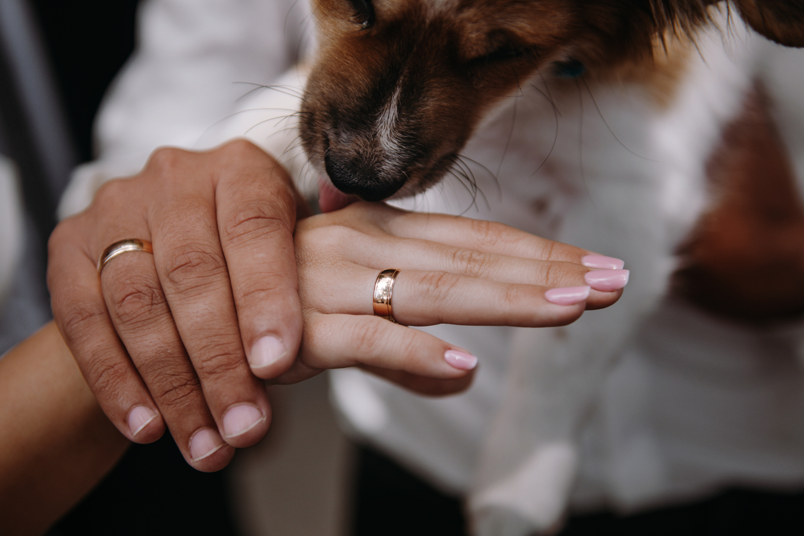 Оля и Саша. Semashko Photography — весільне та сімейне фото, Олег І Наталі Семашко