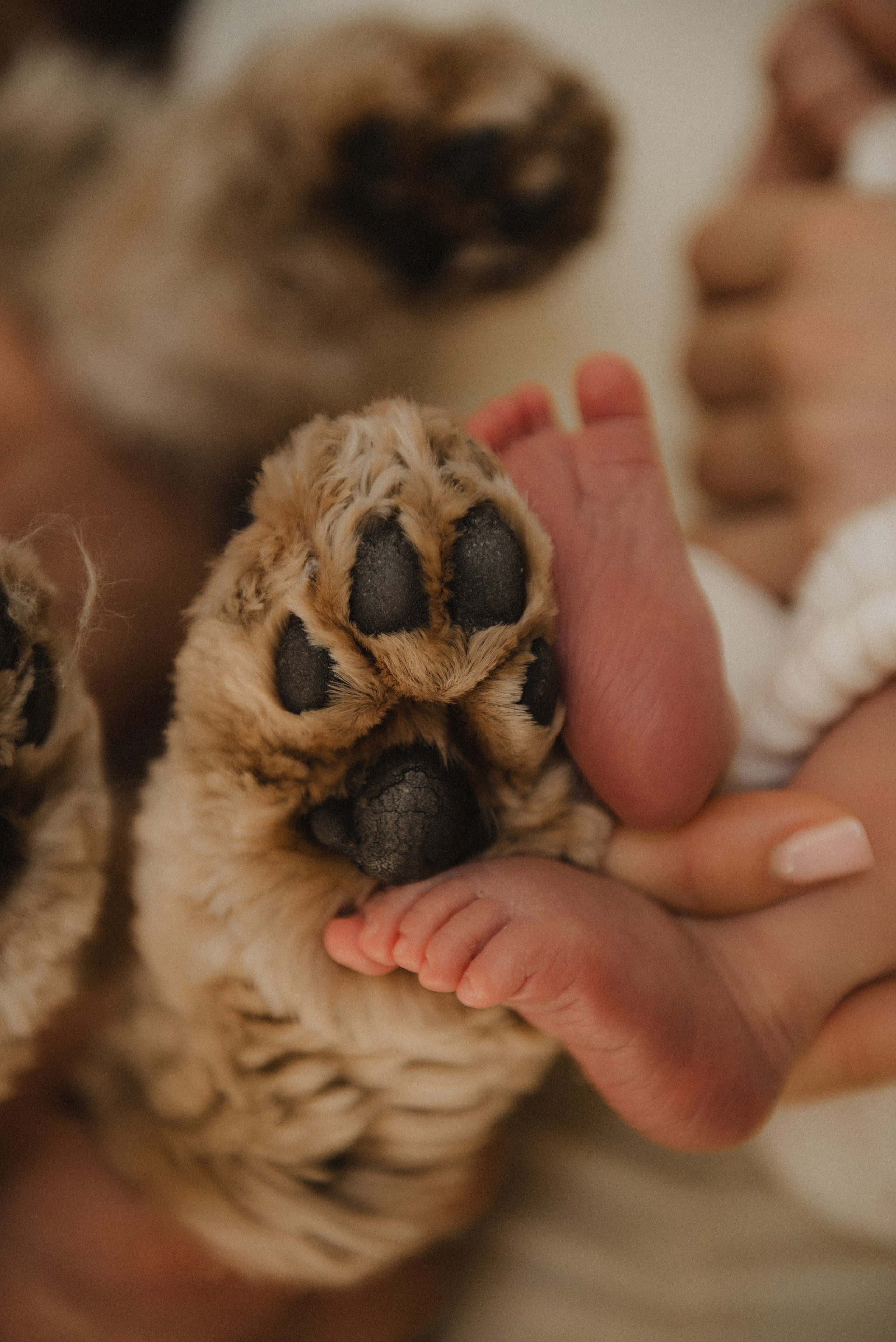 Вєня. Semashko Photography — весільне та сімейне фото, Олег І Наталі Семашко