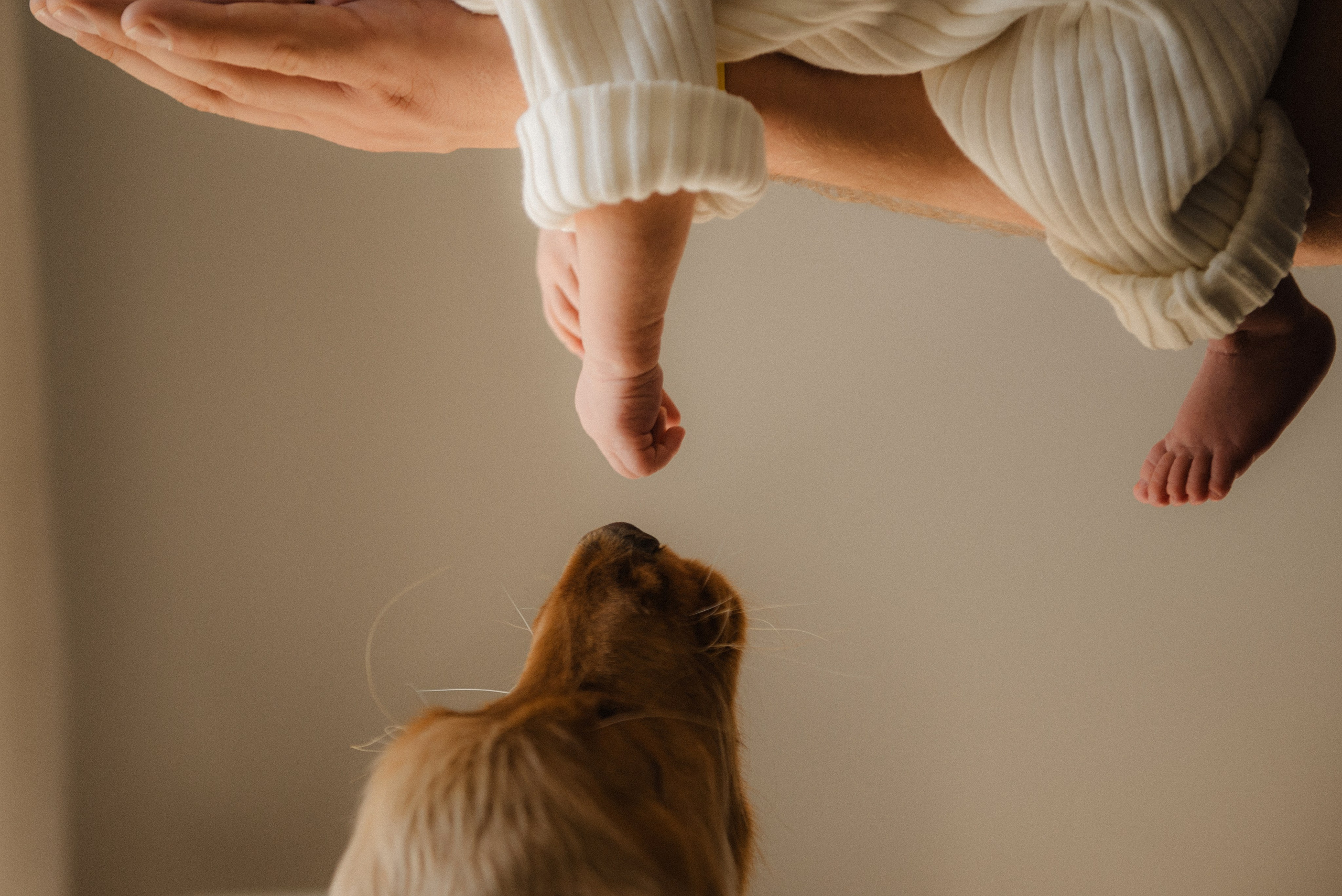 Вєня. Semashko Photography — весільне та сімейне фото, Олег І Наталі Семашко