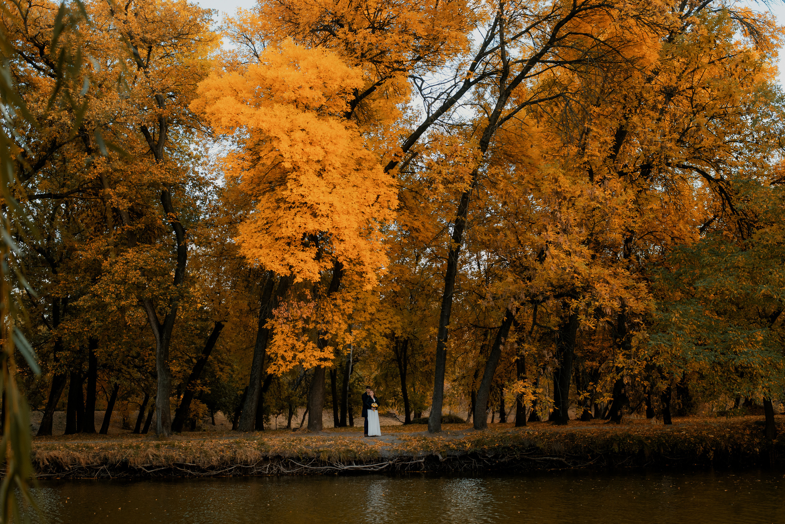 Олександра та Олександр. Semashko Photography — весільне та сімейне фото, Олег І Наталі Семашко