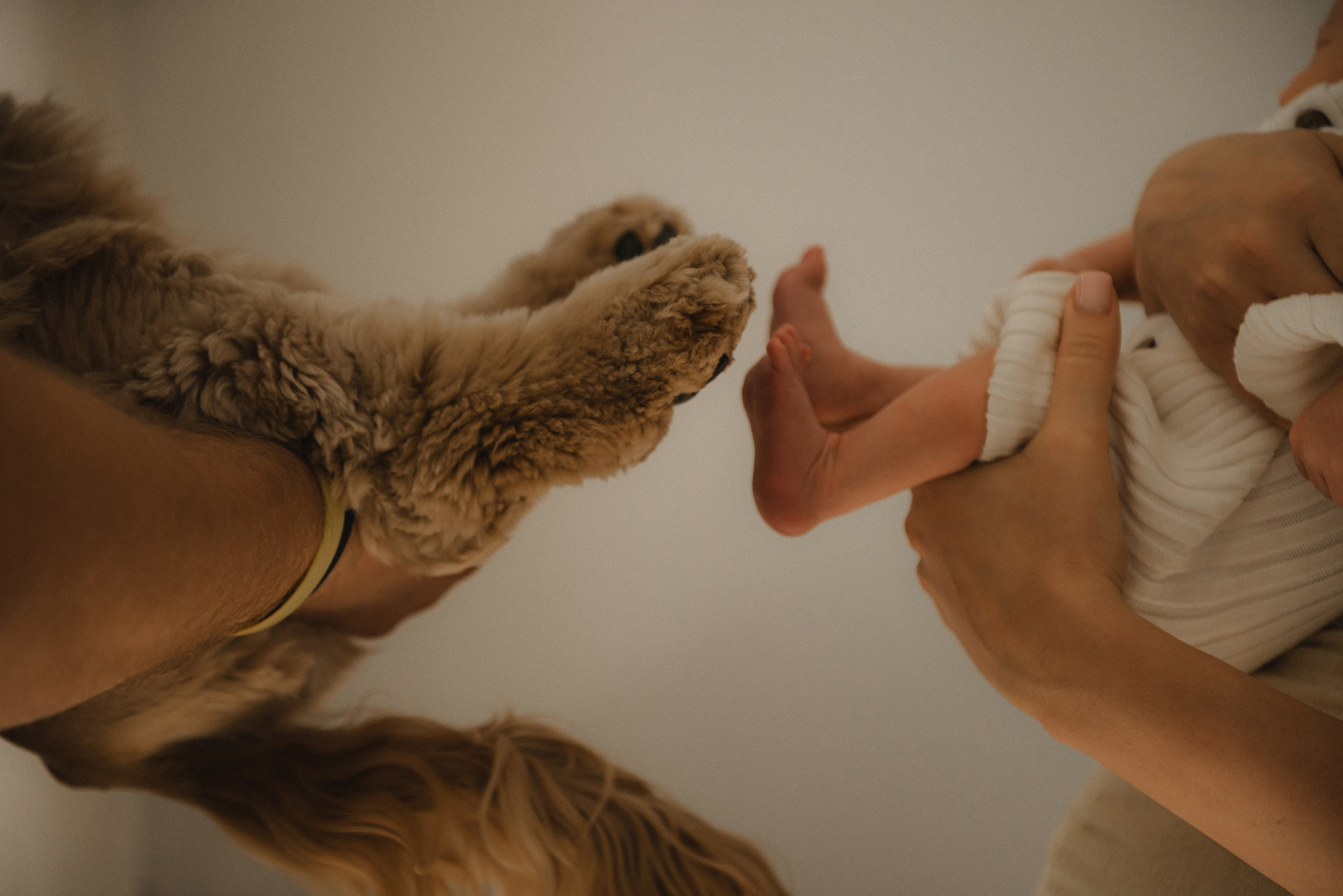 Вєня. Semashko Photography — весільне та сімейне фото, Олег І Наталі Семашко