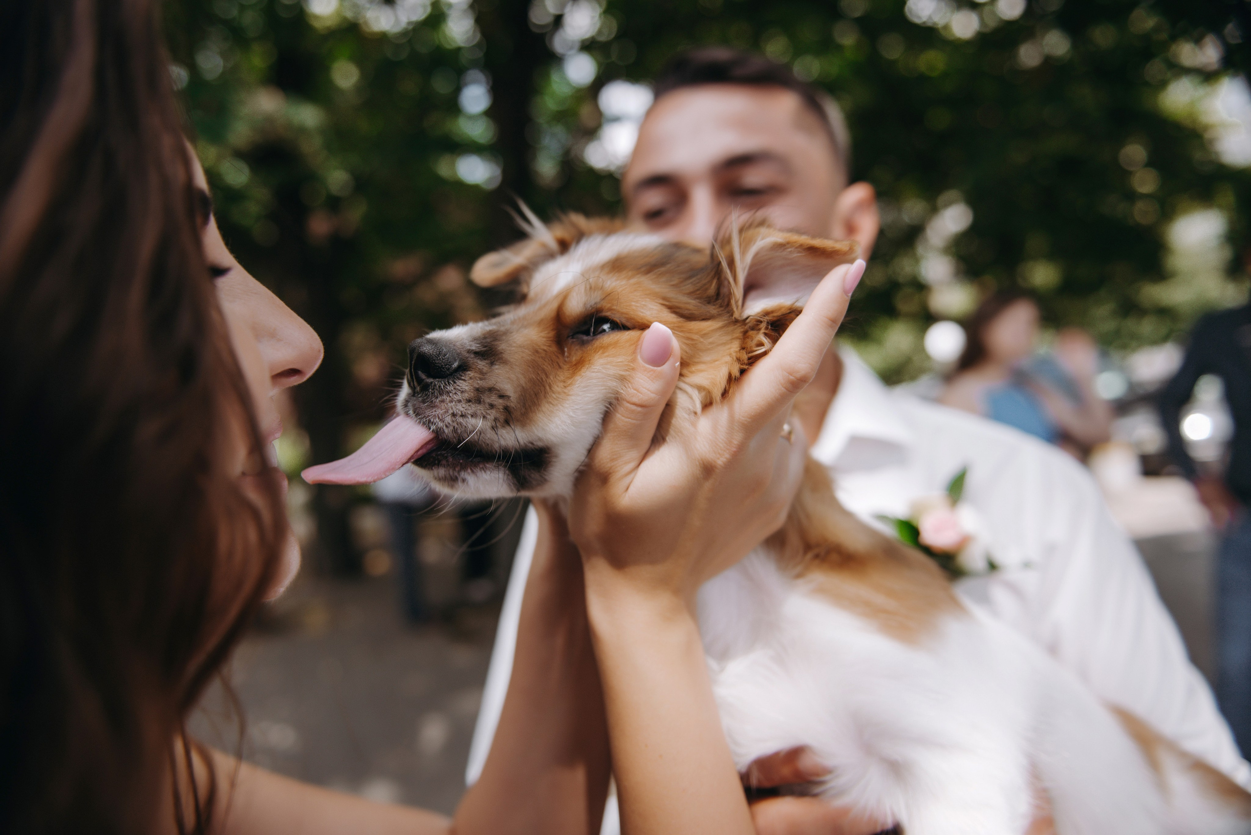 Оля та Сашко. Semashko Photography — весільне та сімейне фото, Олег І Наталі Семашко