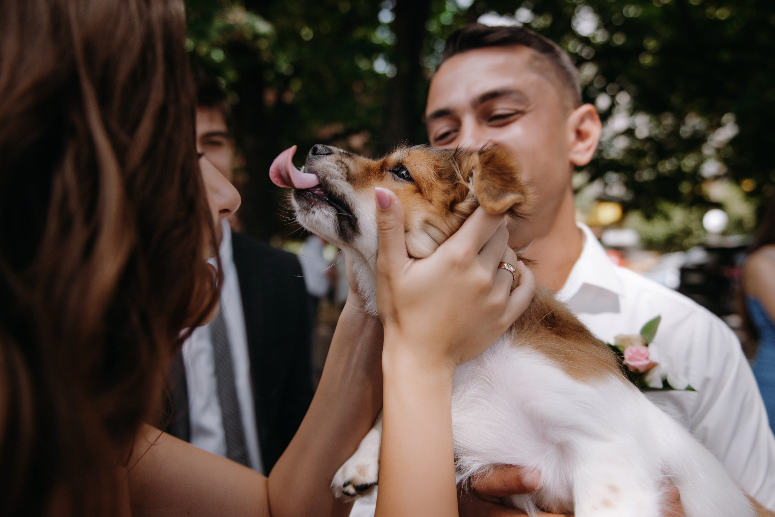 Оля и Саша. Semashko Photography — весільне та сімейне фото, Олег І Наталі Семашко