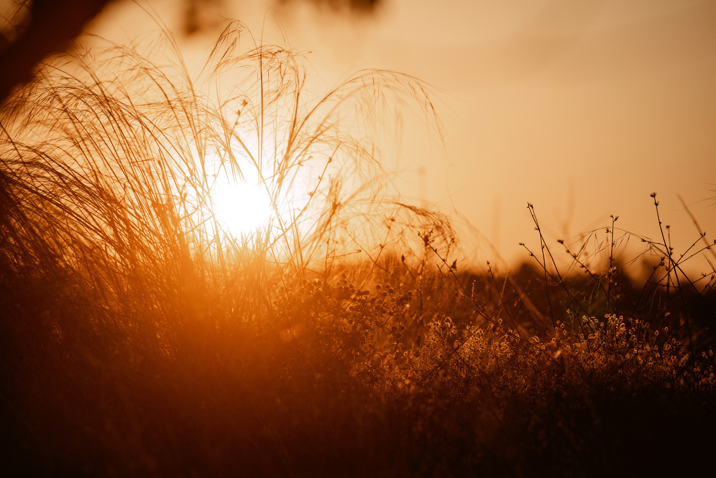 Діана і Влад. Semashko Photography — весільне та сімейне фото, Олег І Наталі Семашко