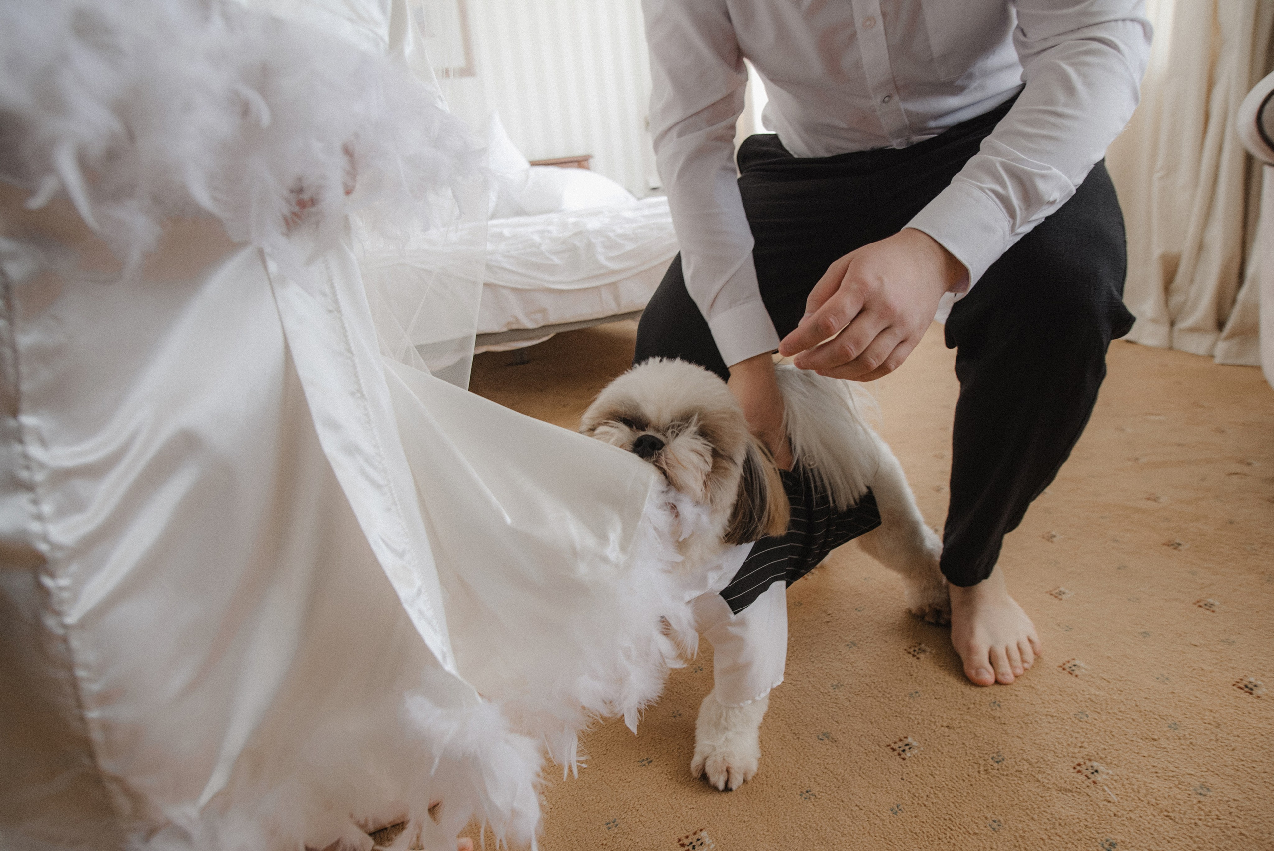 Анастасія та Владислав. Semashko Photography — весільне та сімейне фото, Олег І Наталі Семашко