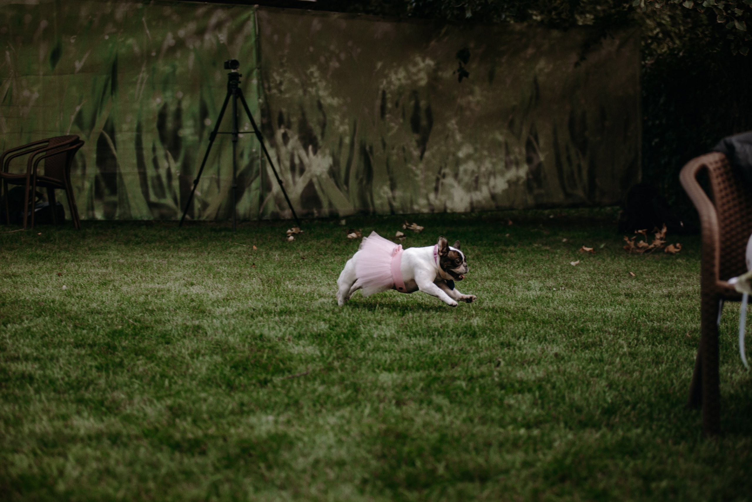 Христина та Андрій. Semashko Photography — весільне та сімейне фото, Олег І Наталі Семашко