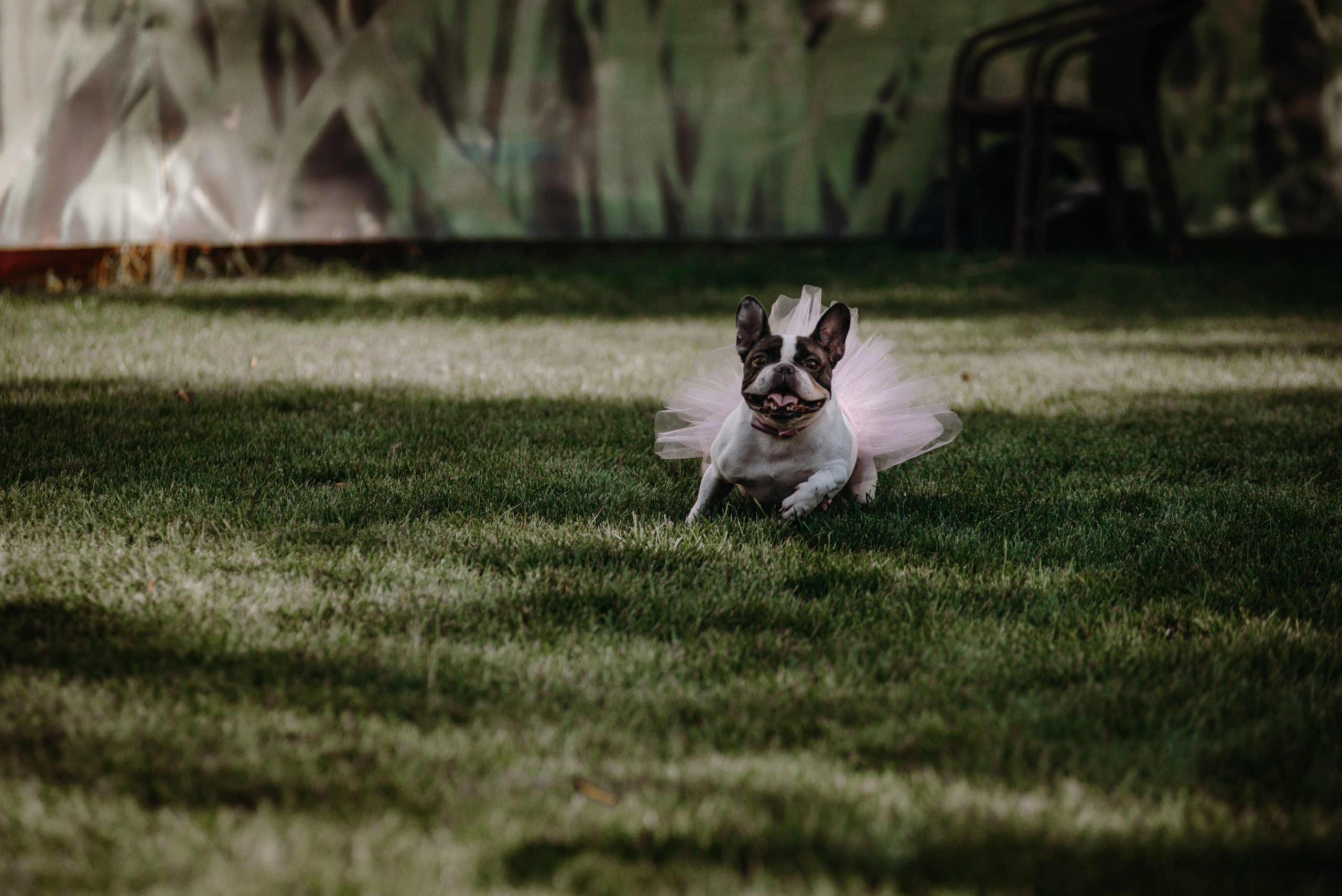 Христина та Андрій. Semashko Photography — весільне та сімейне фото, Олег І Наталі Семашко